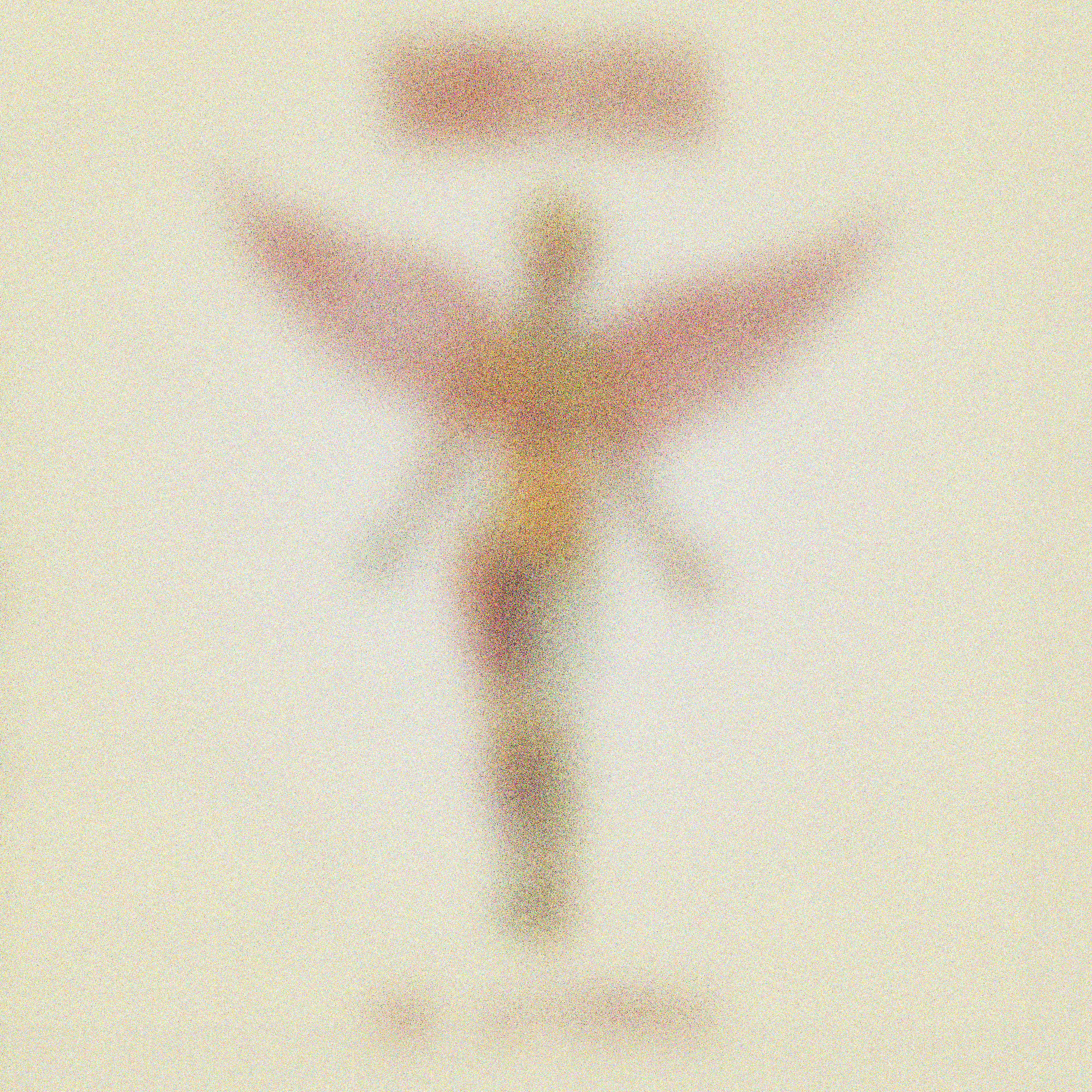 IN UTERO