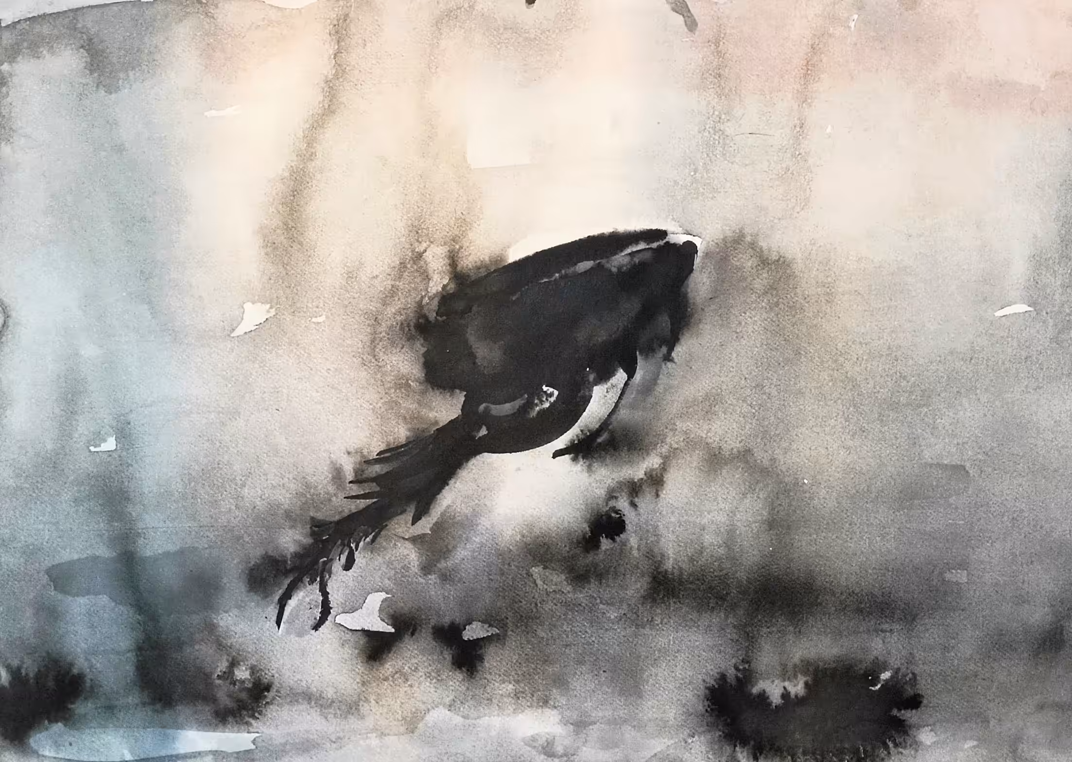 Jumping Flea