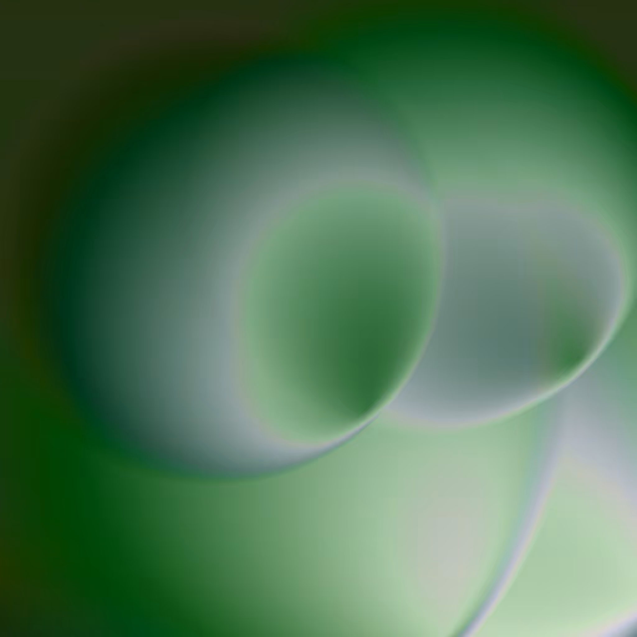 Transition: Omnidimensional #56