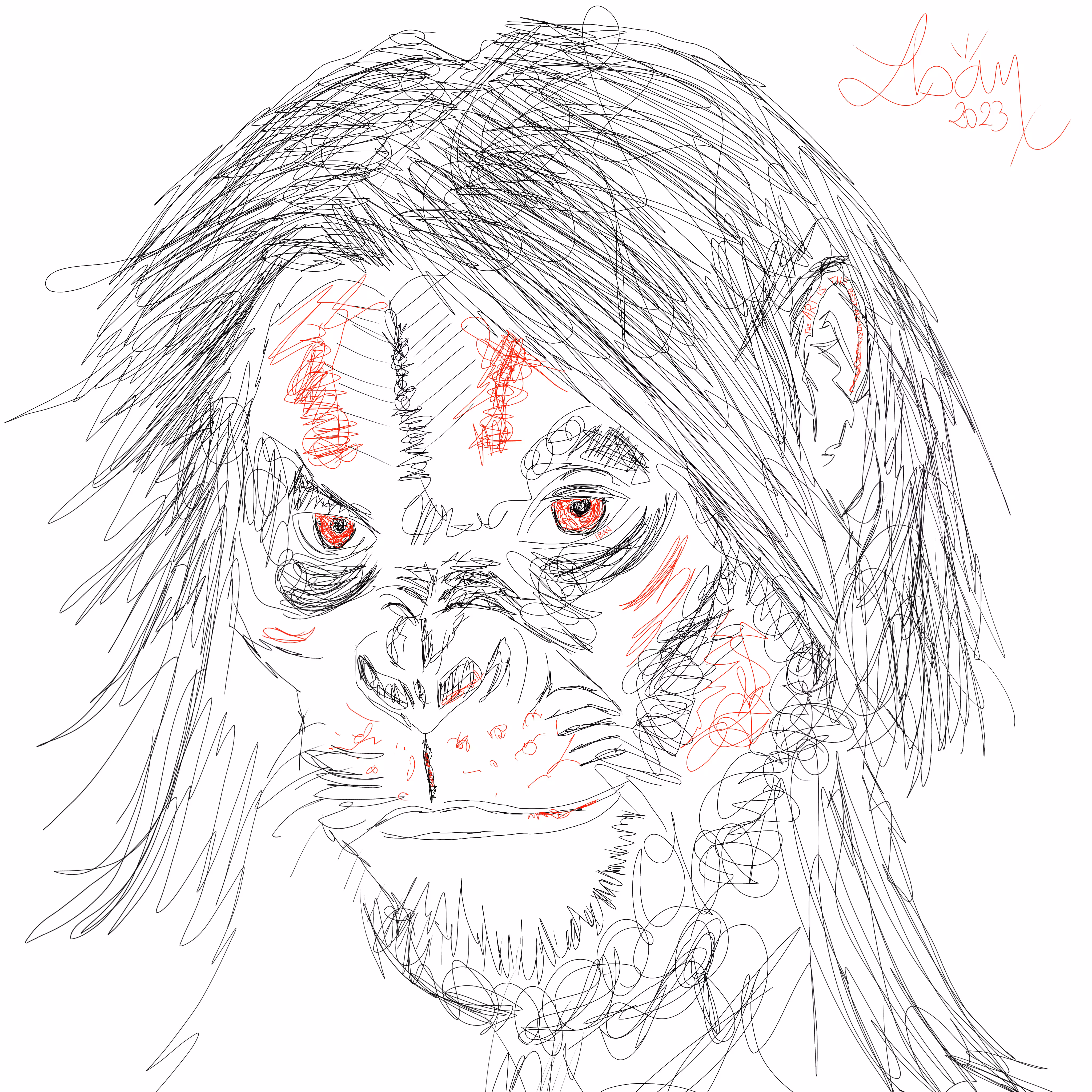 Primate Thought