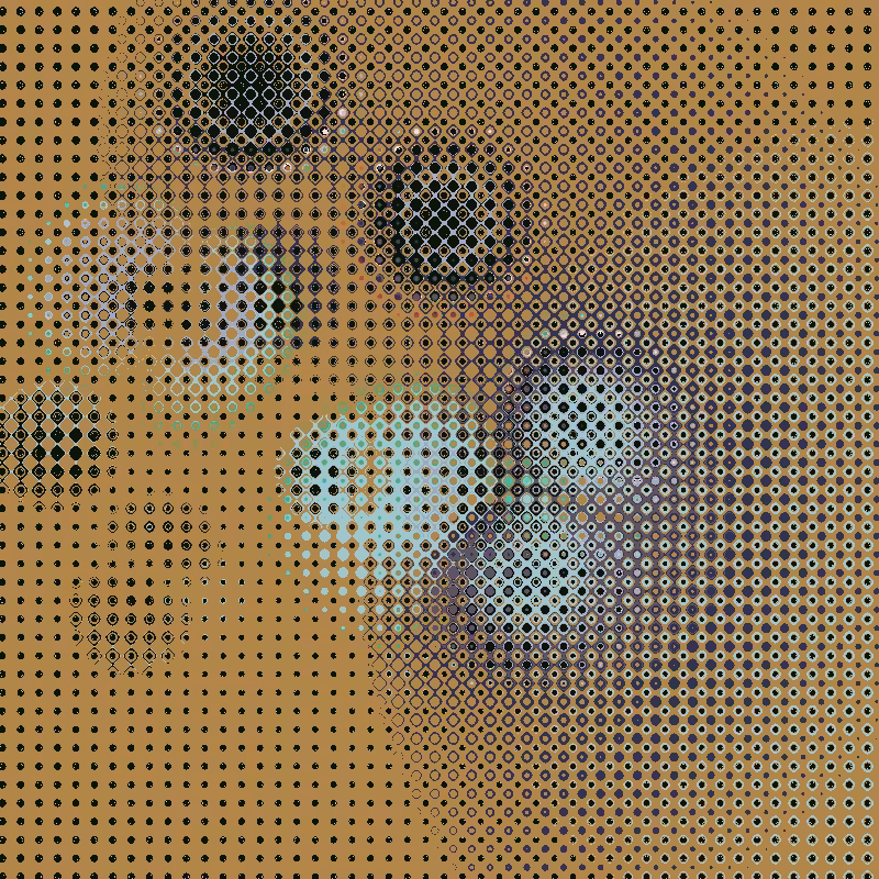 Focus #28