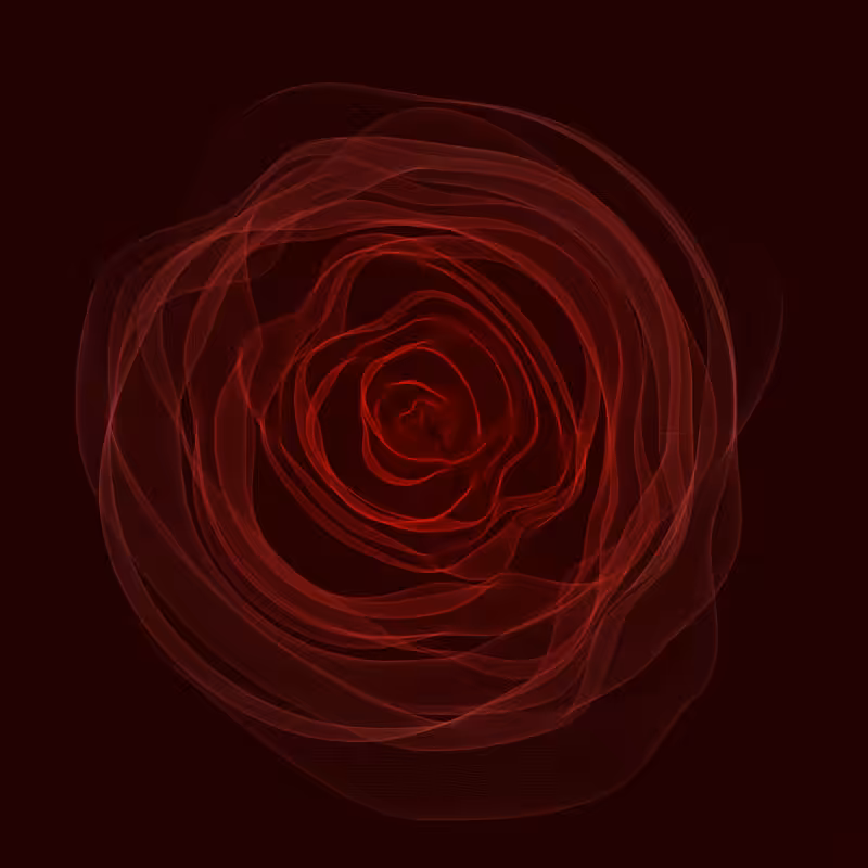 Roses #6