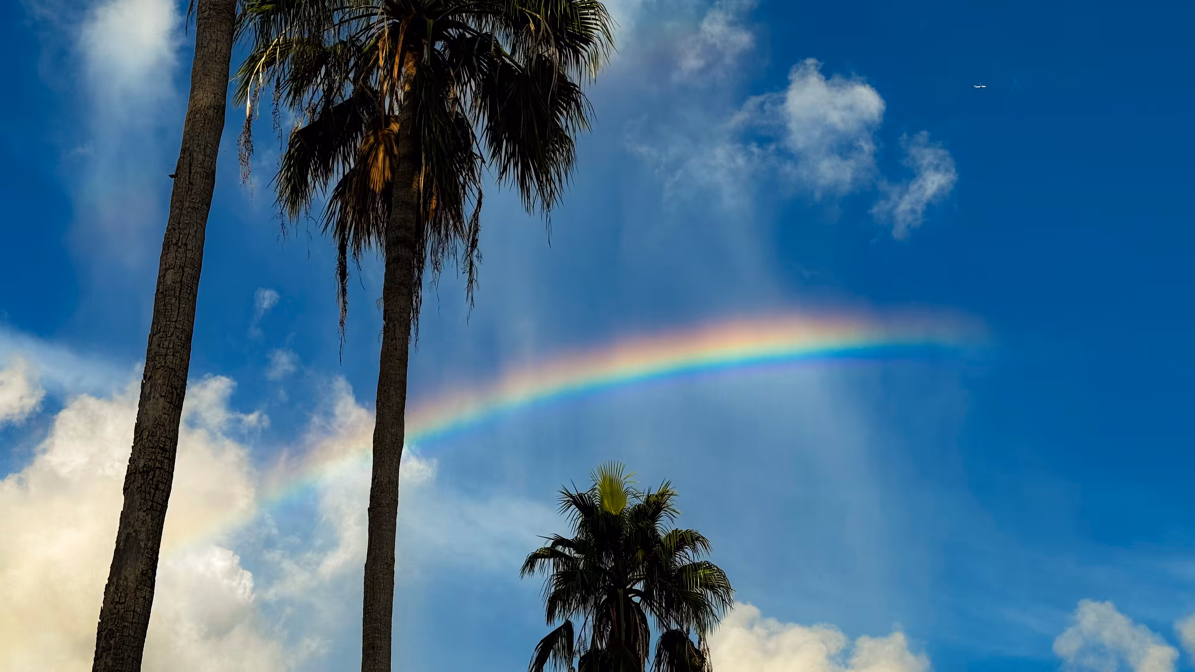 Rodeo posts: somewhere over the rainbow
