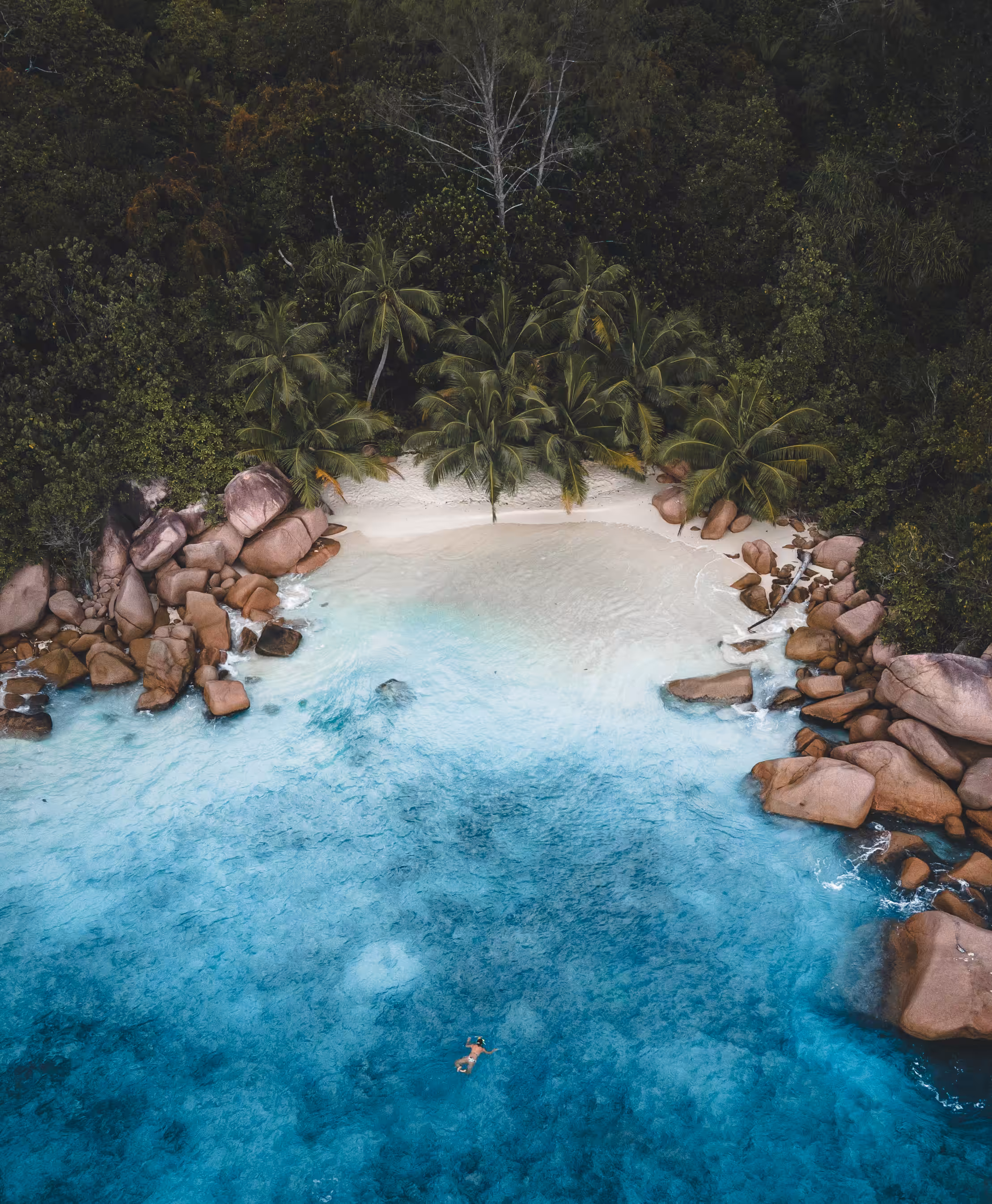 Snorkel Paradise