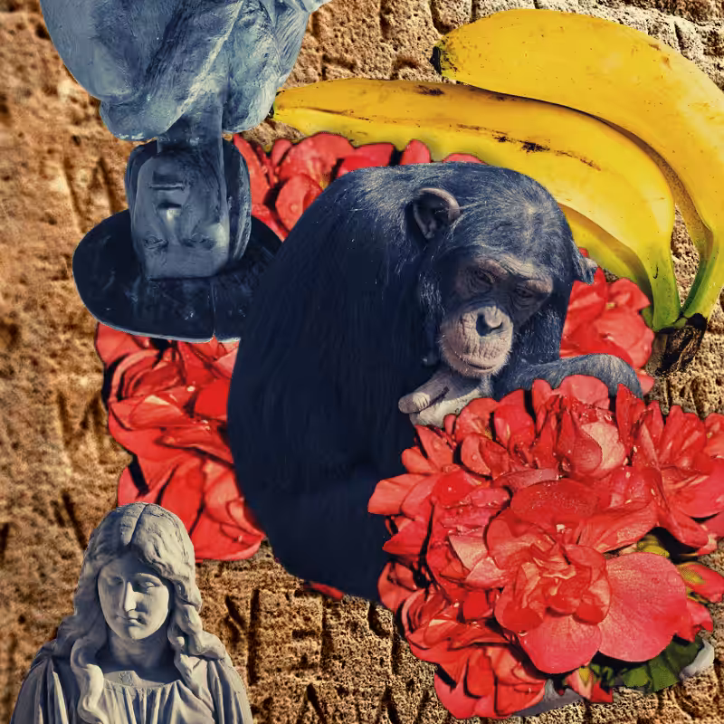 Banana flower #35