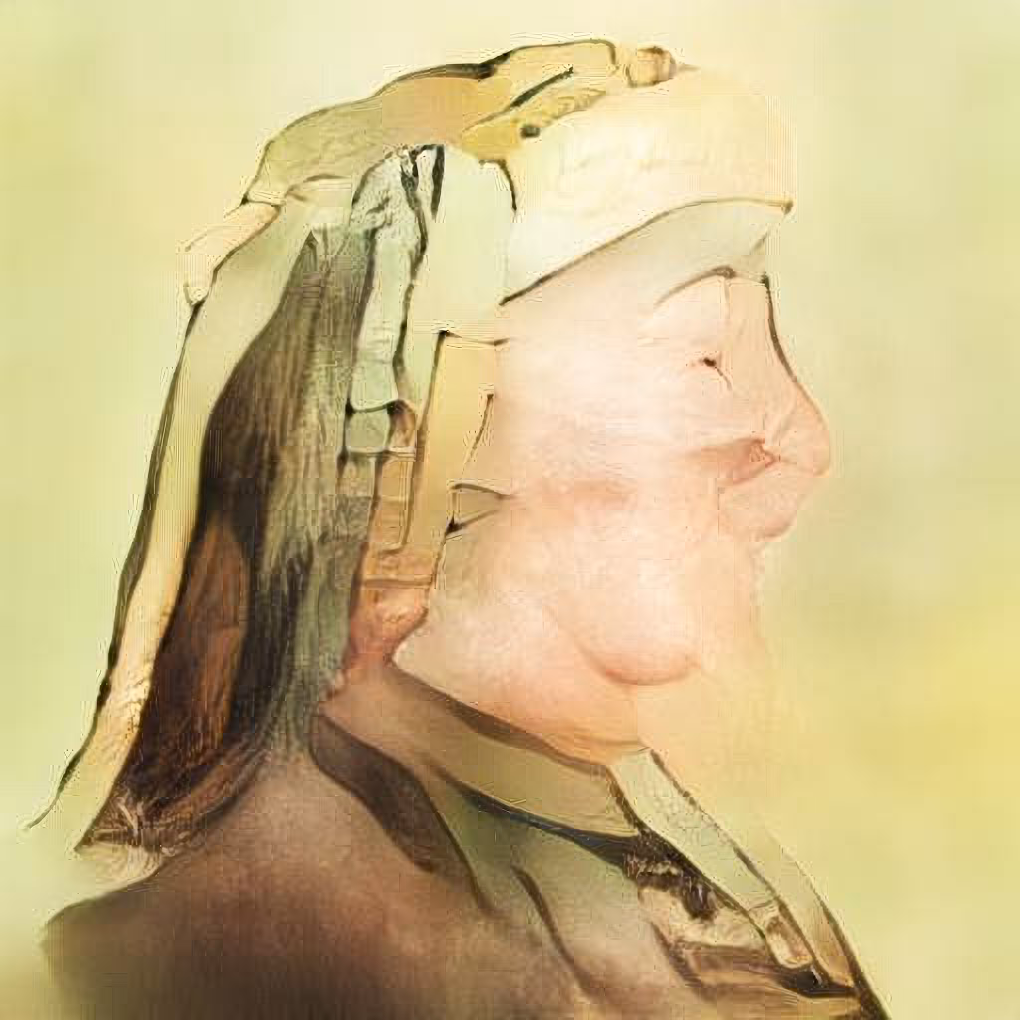 FILIPPO BRUNELLESCHI