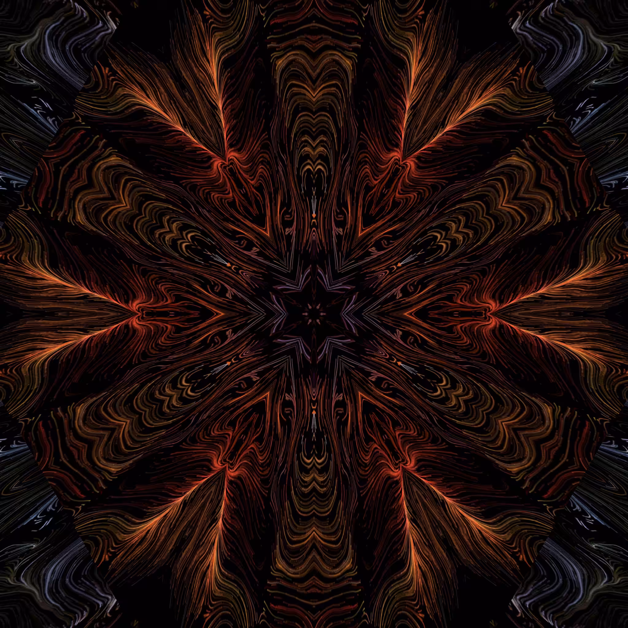 doors of perception #11