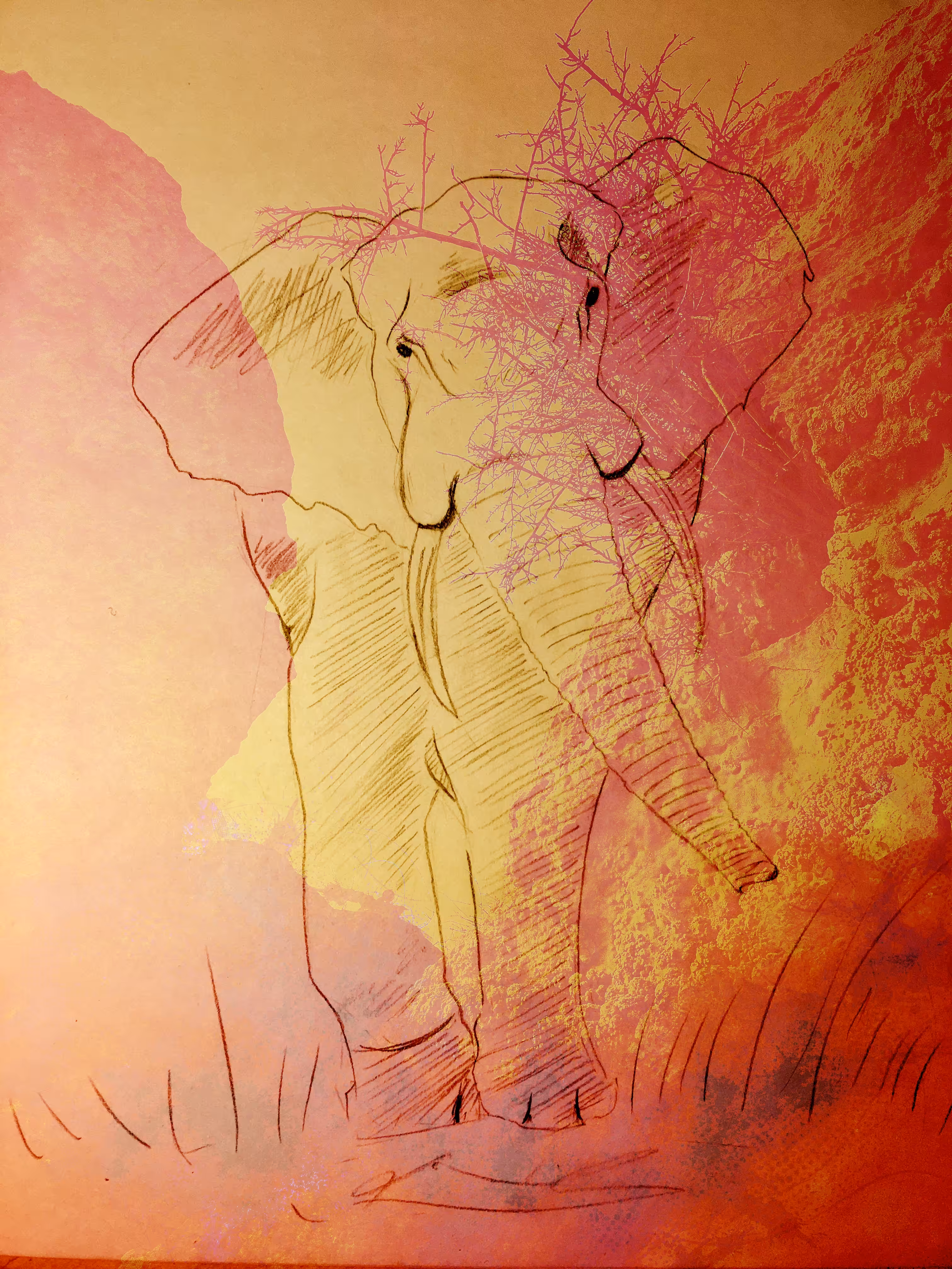 The elephant