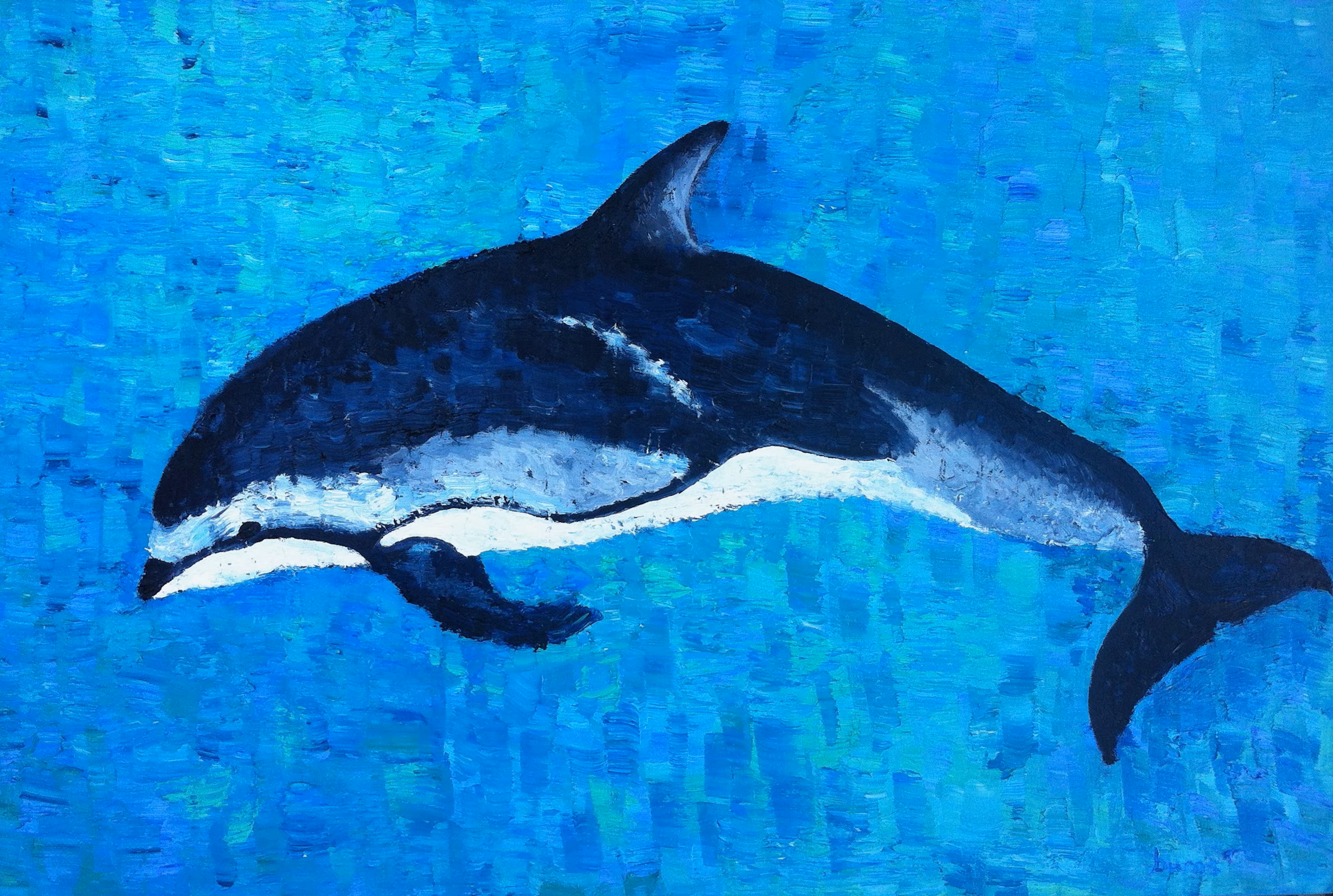 Dolphin