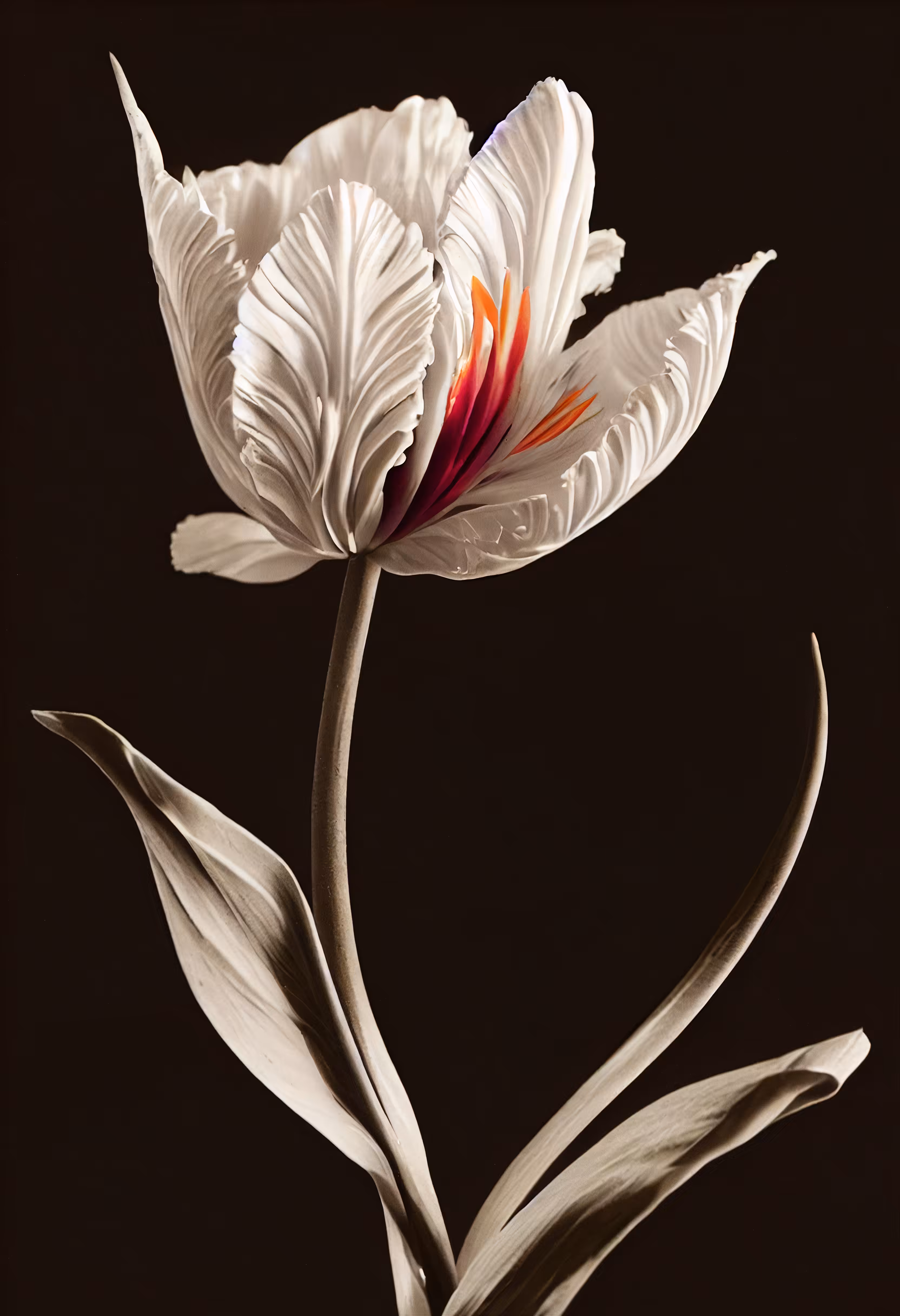 A Flower, Just For You. #215