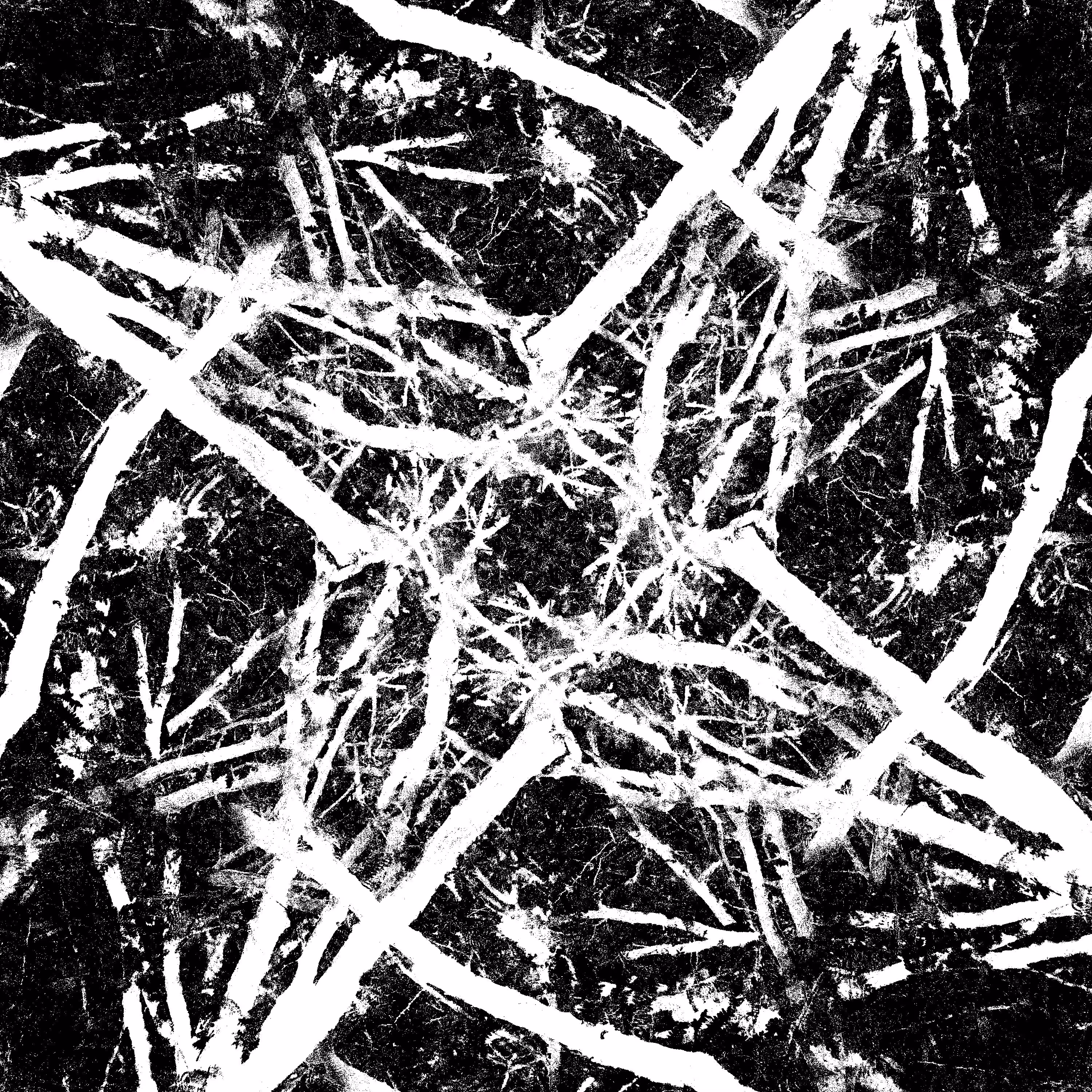 Machine Organic #21