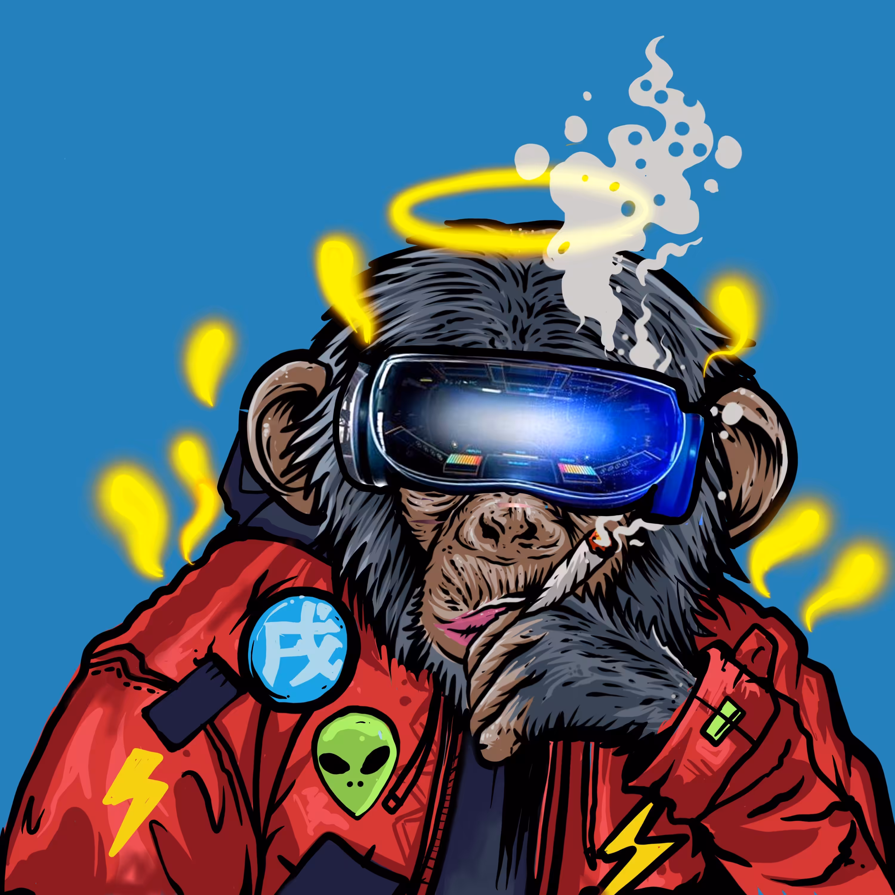 junkymonkey #12