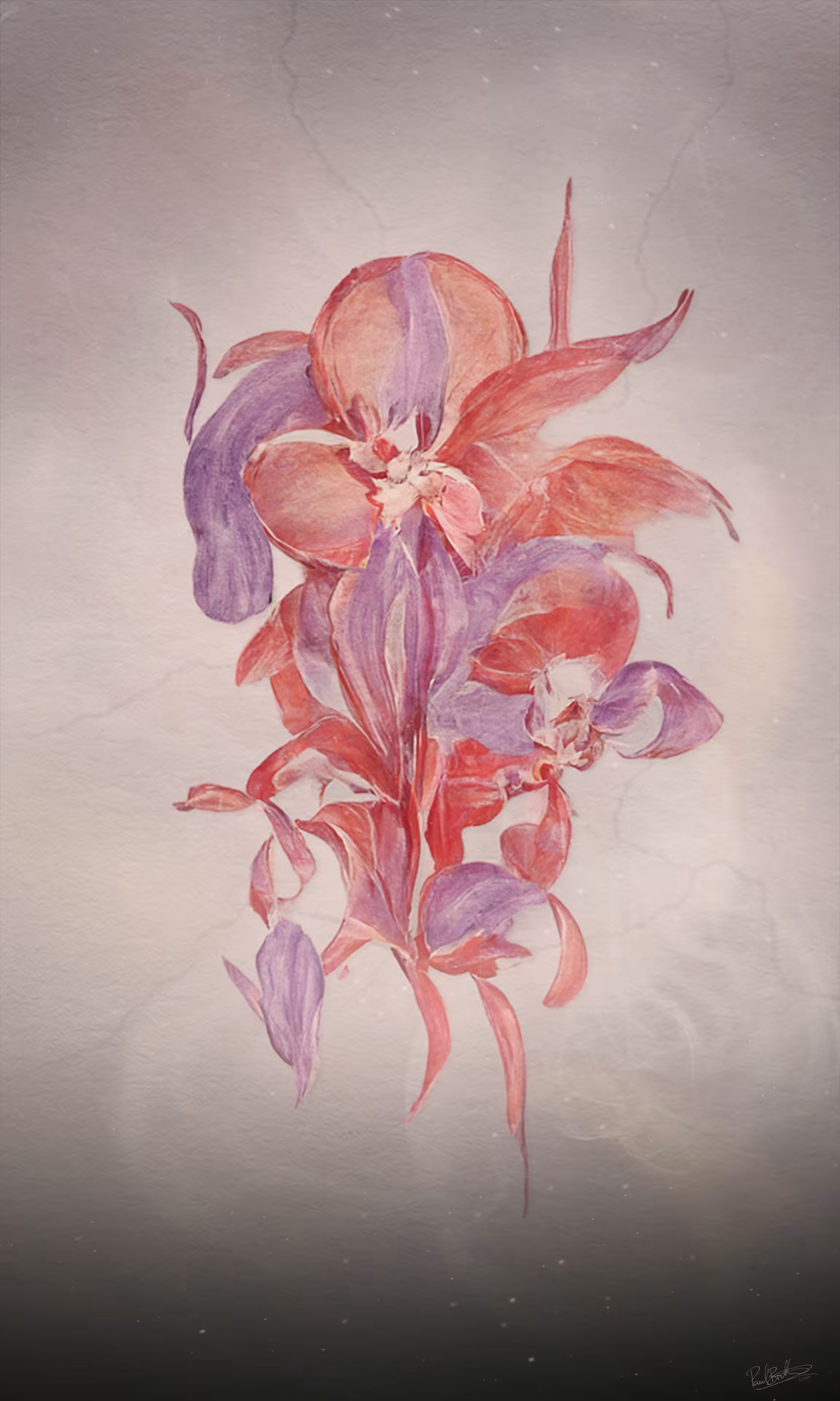 Organics 5x4