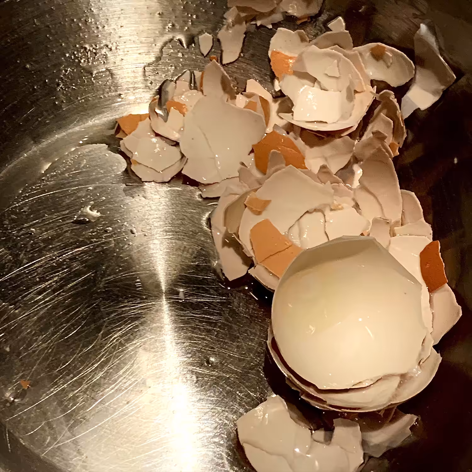 eggs