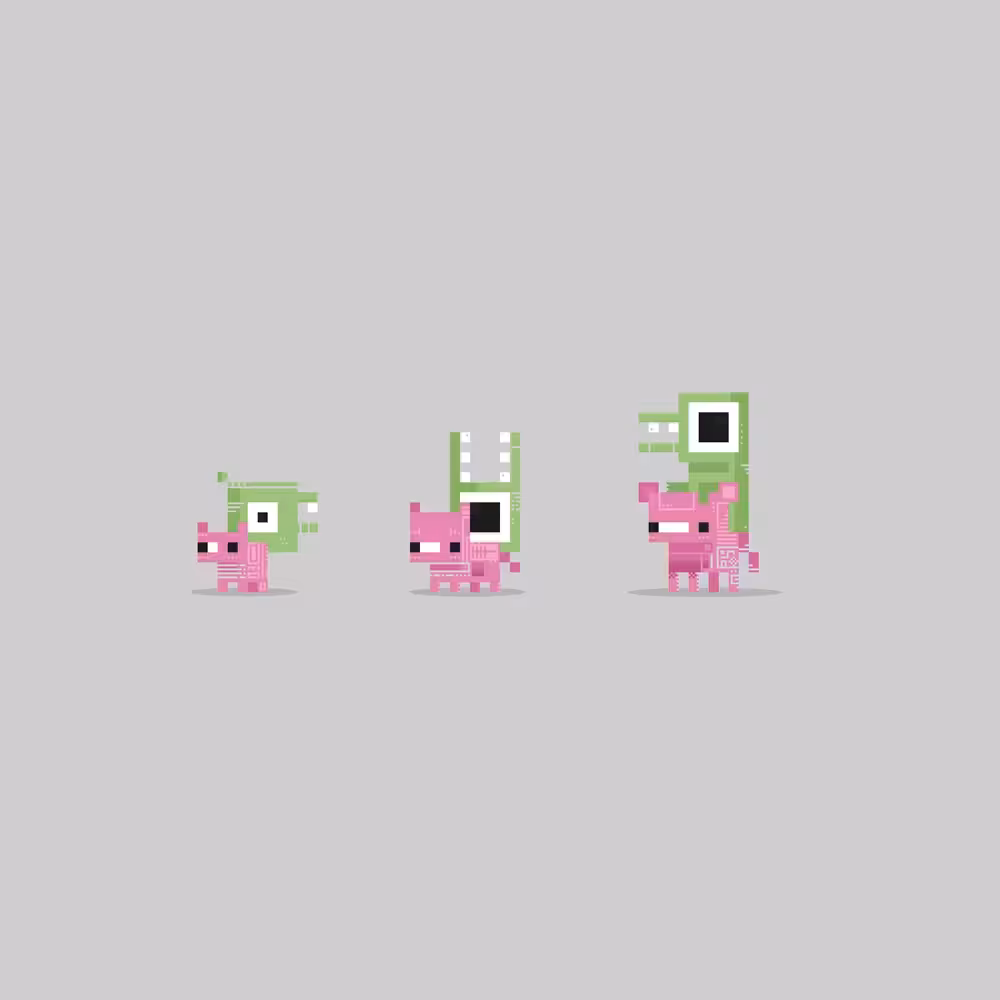 PXLPET 7-9 [EVOLUTIONS EDITION]