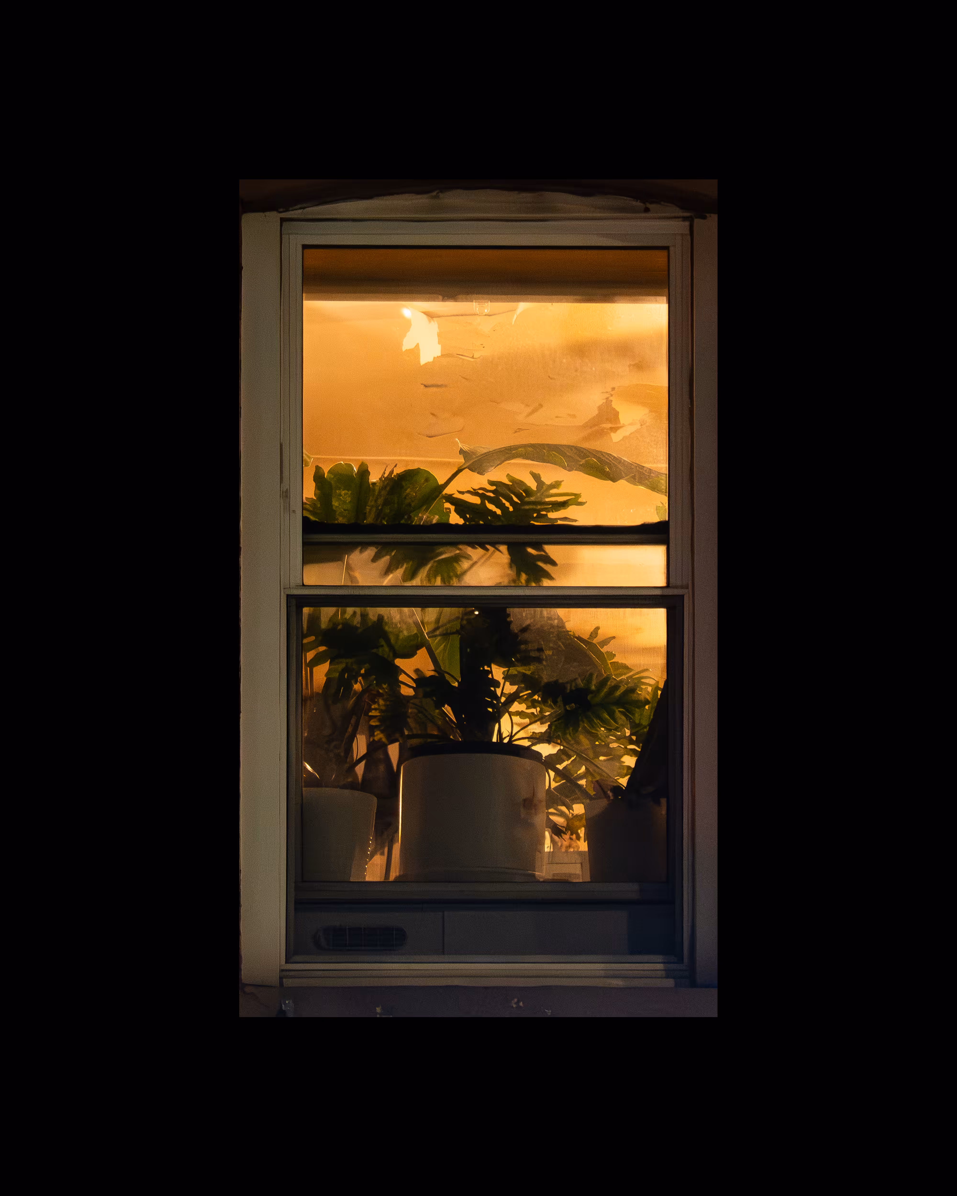 WINDOW 395