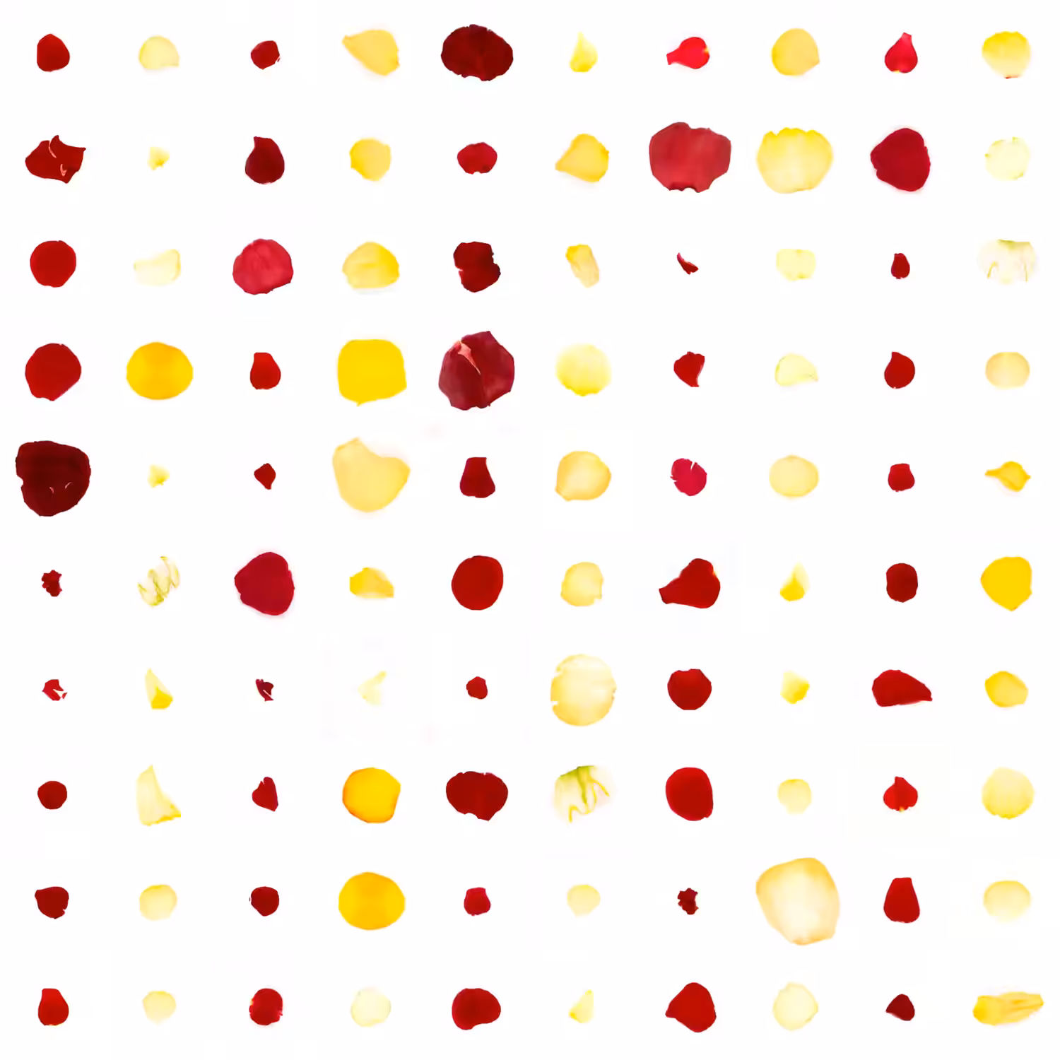 Infinite Petals 10x10#10046