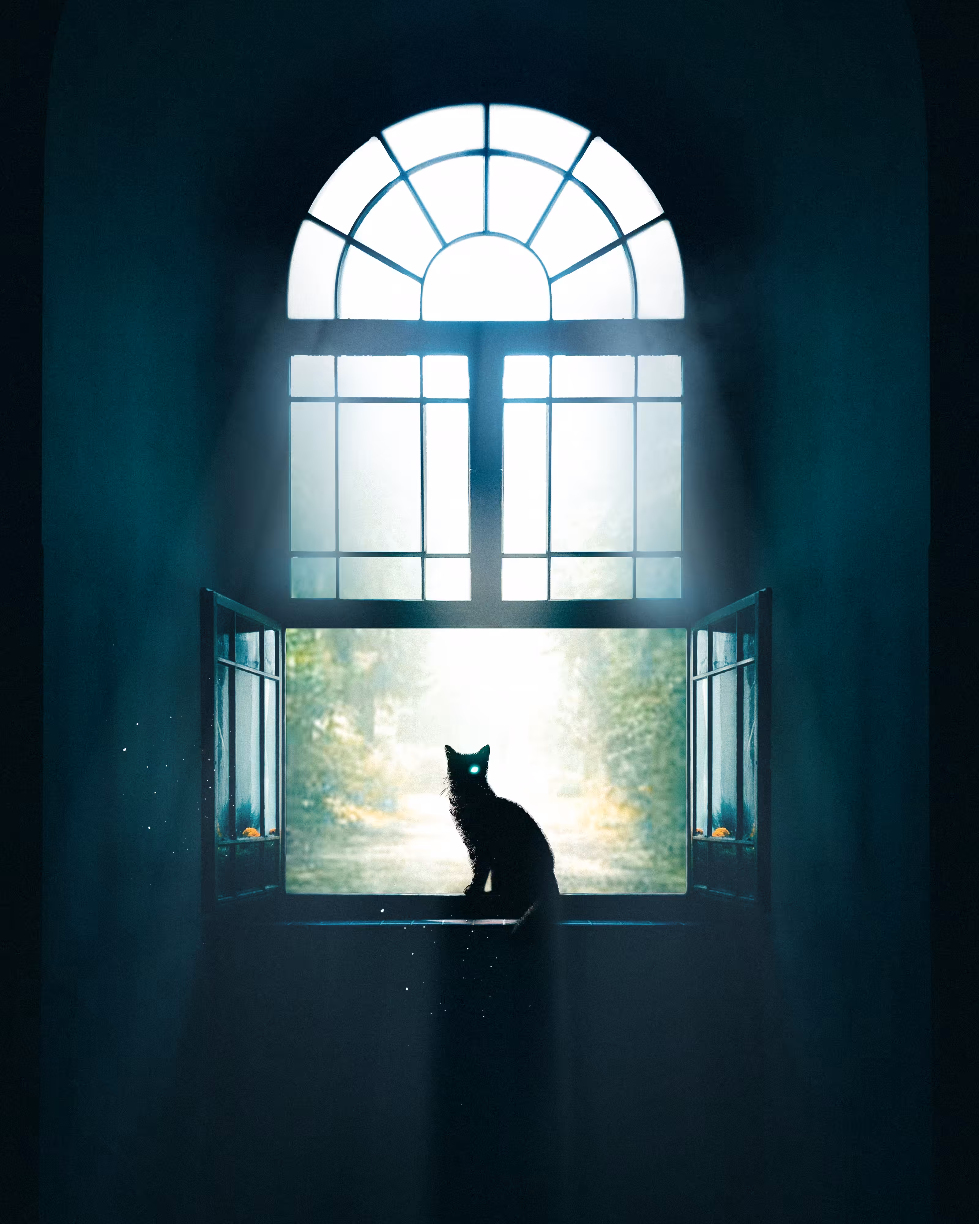 Wandering Cat