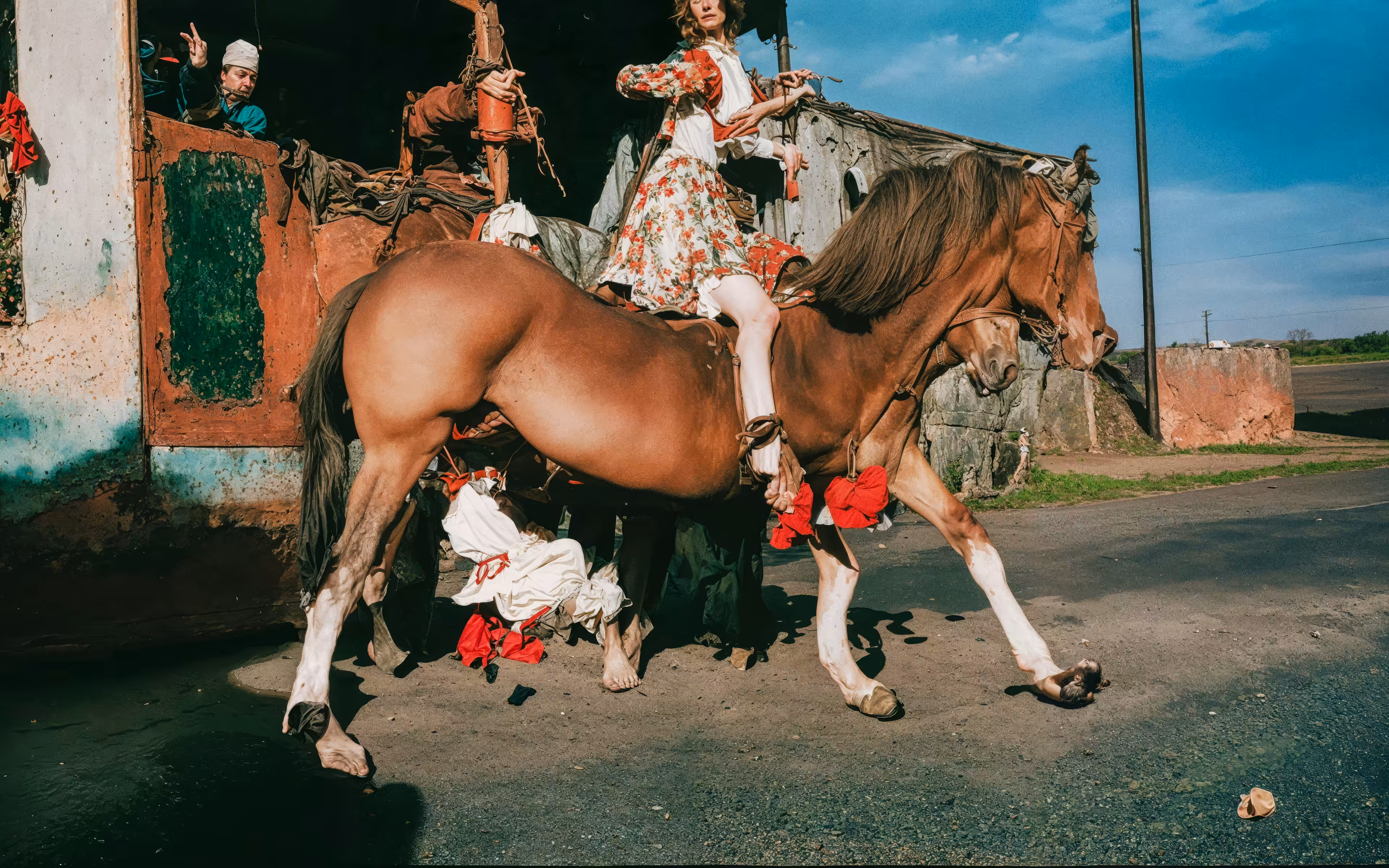 Brown Mare