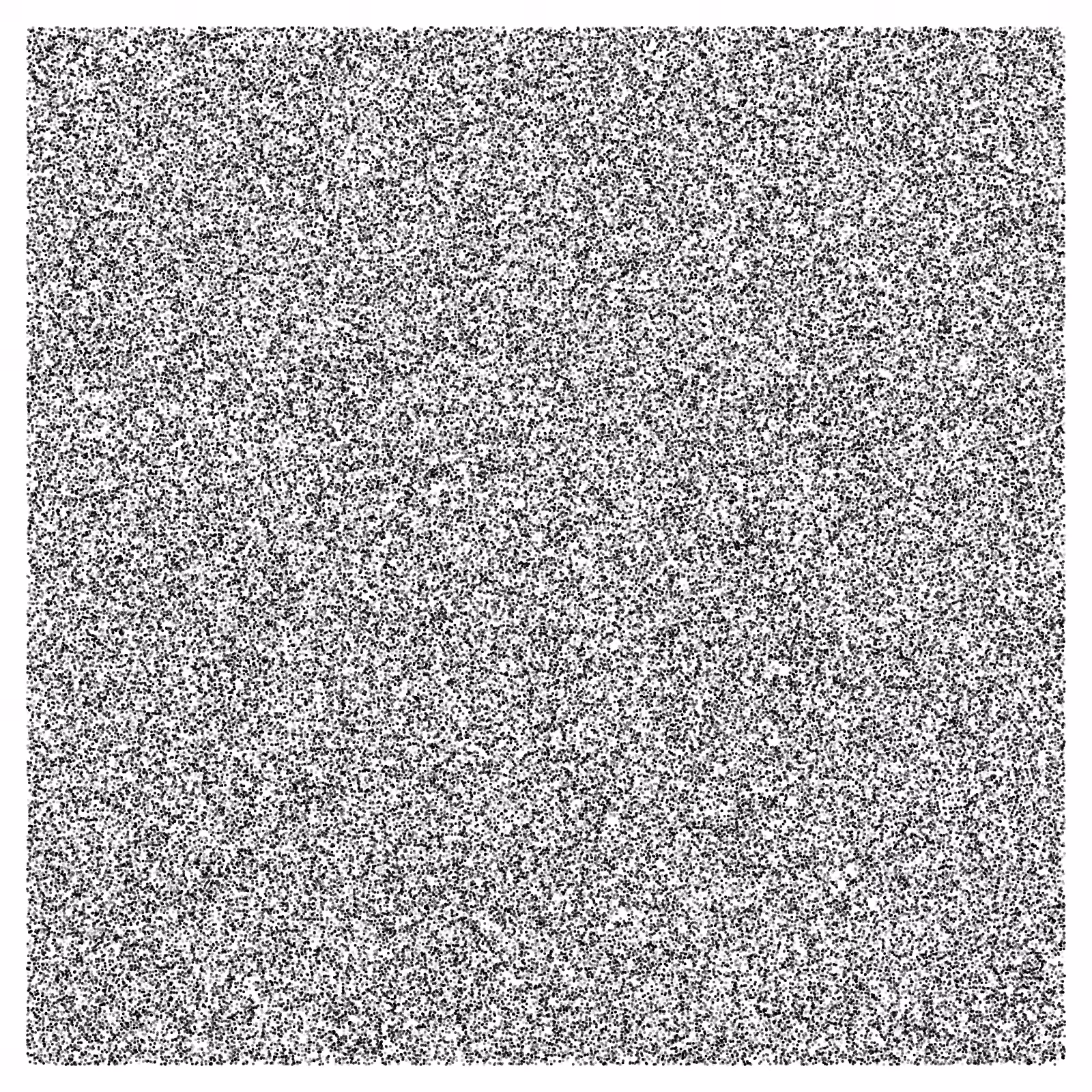 Noise #31