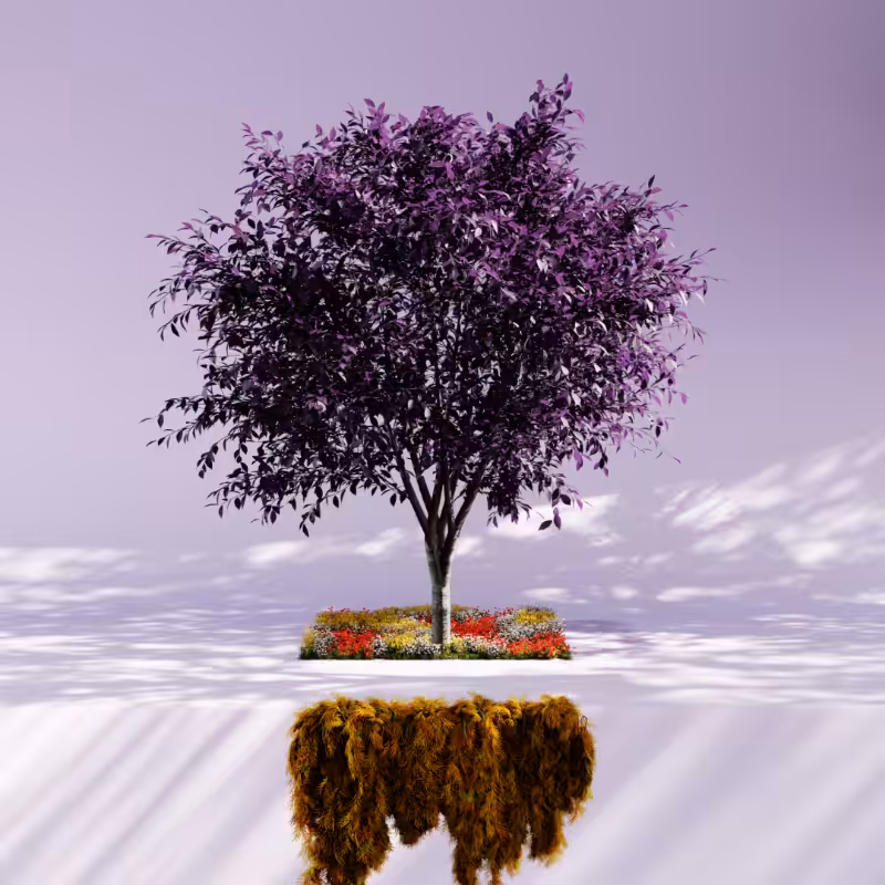 Nature rooms #21