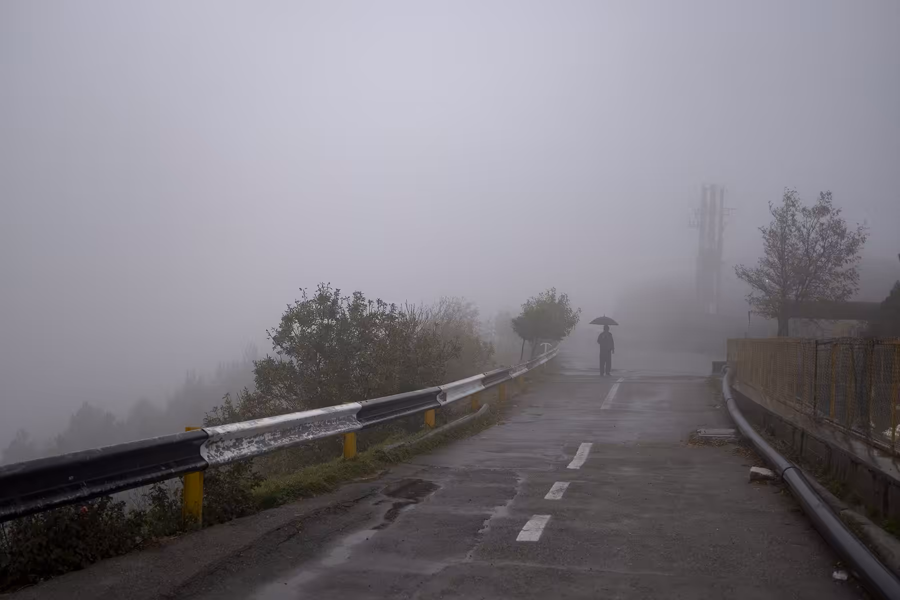 foggy day