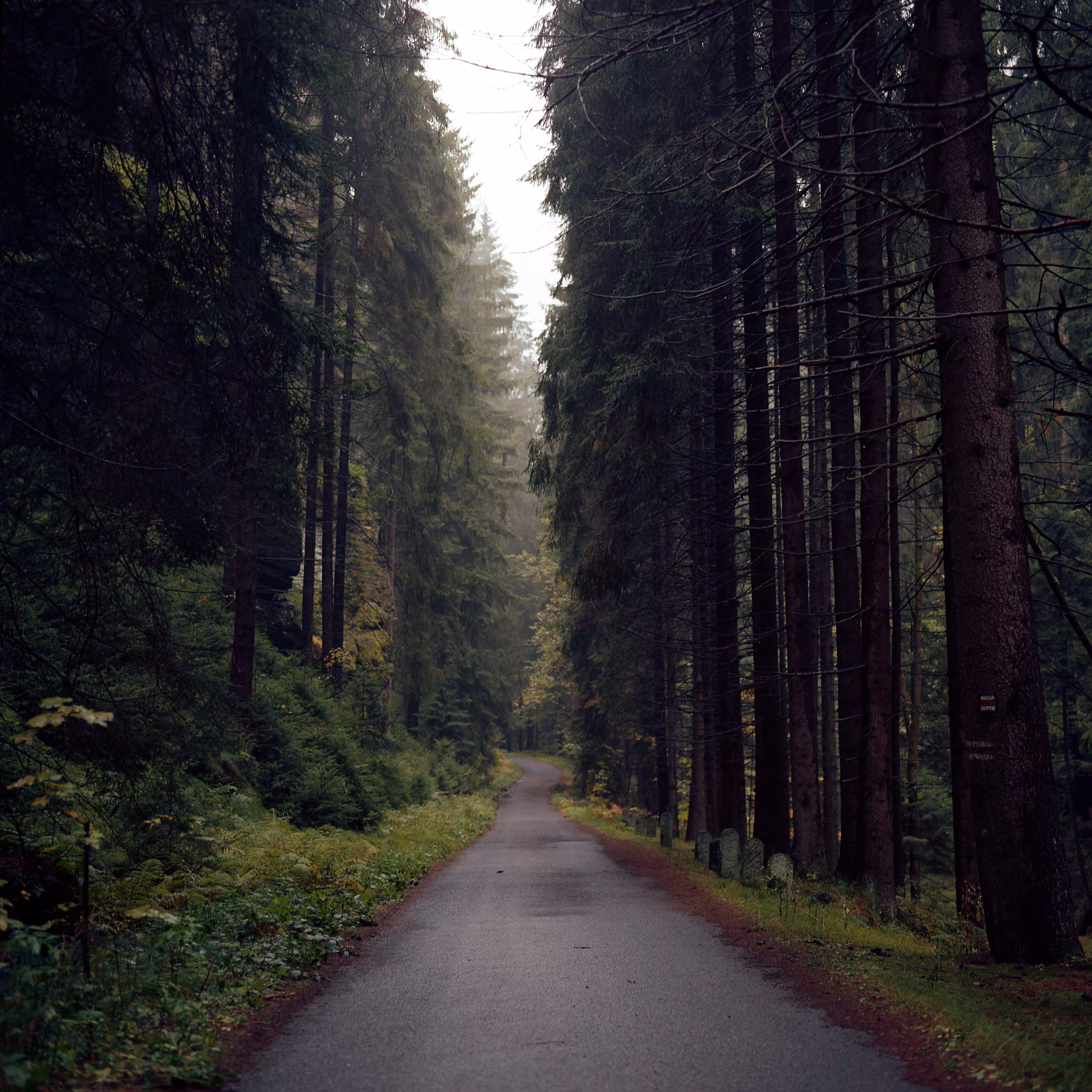 Roads Untraveled #9