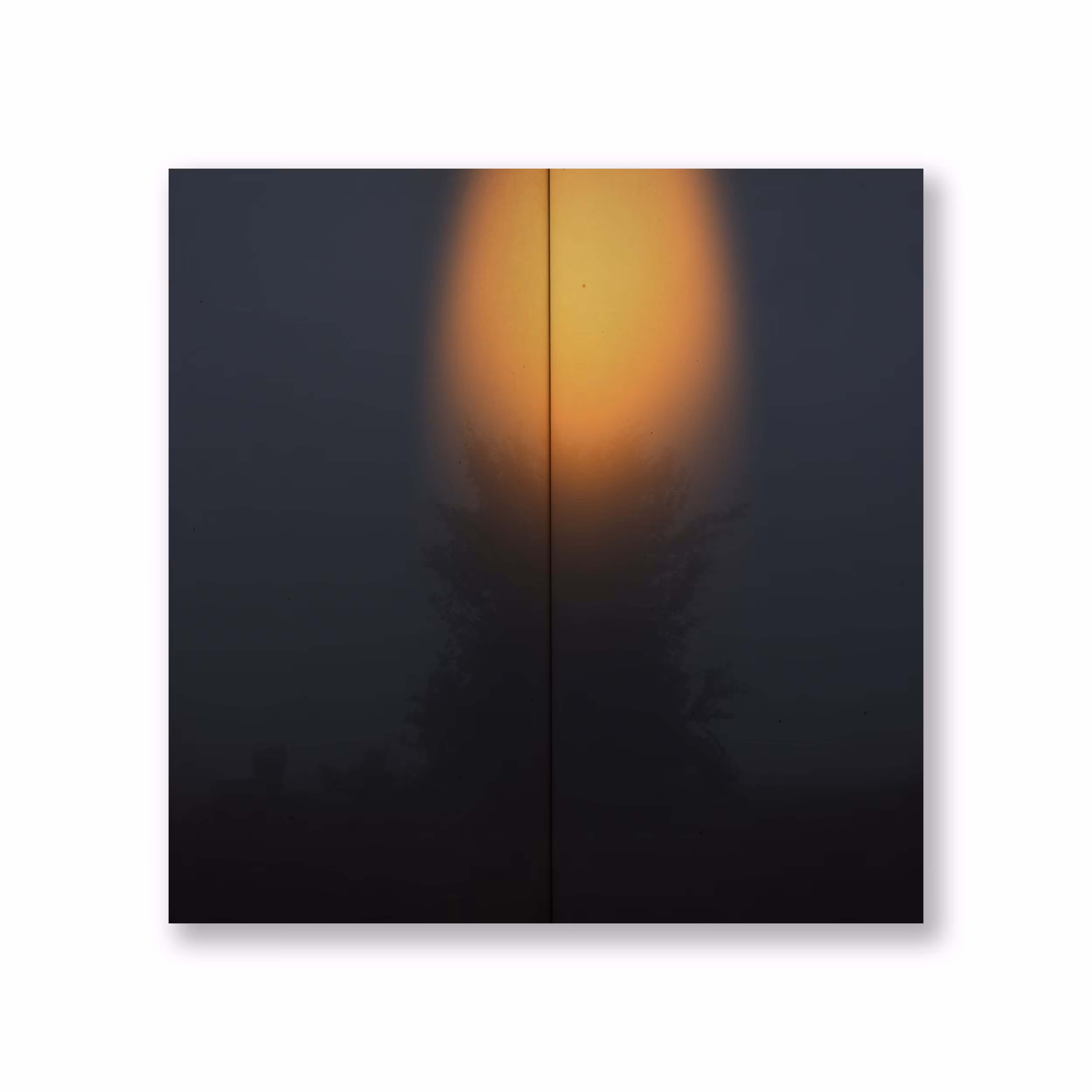Midnight lights