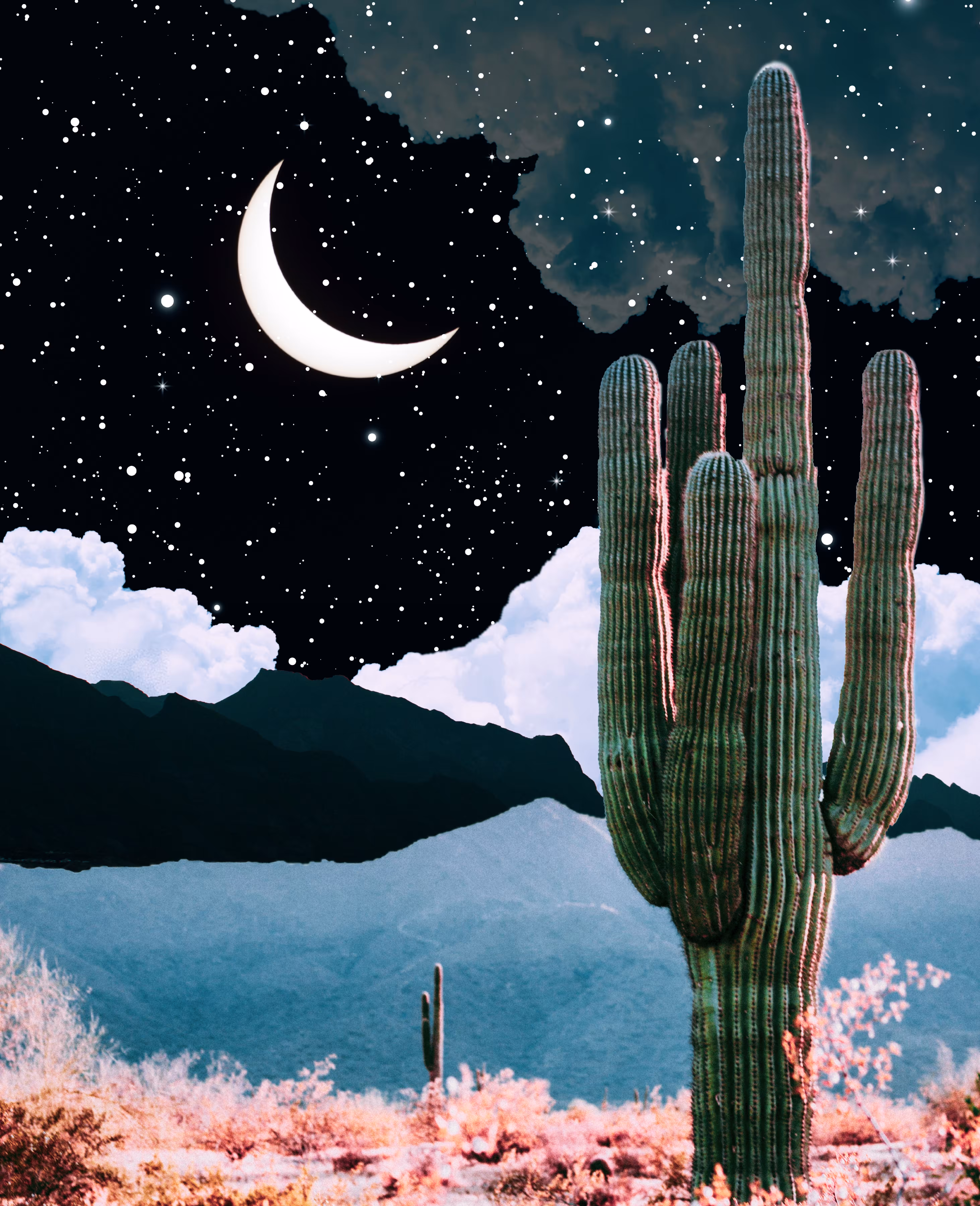 Nighttime Desert, 2020