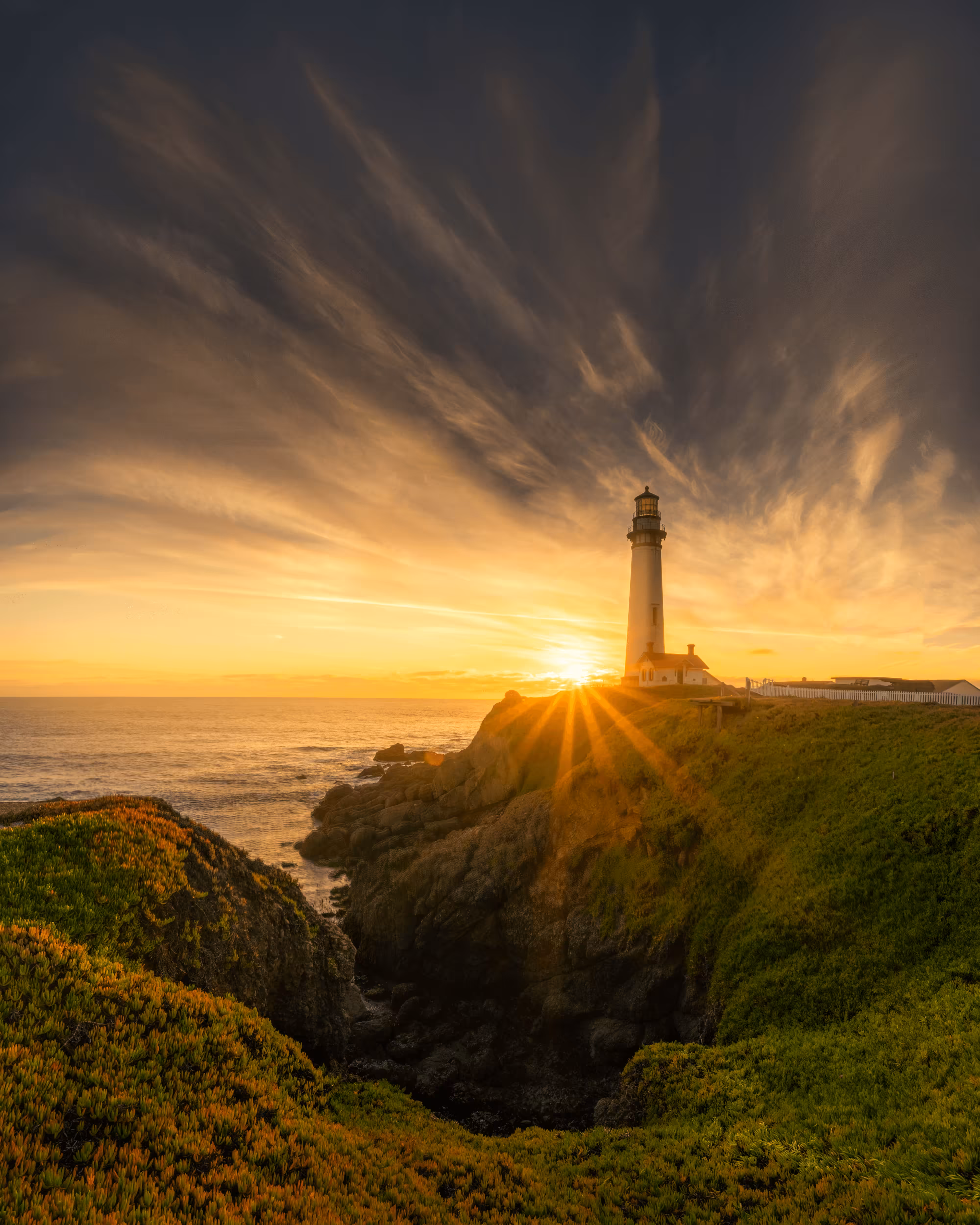 Star of the Light