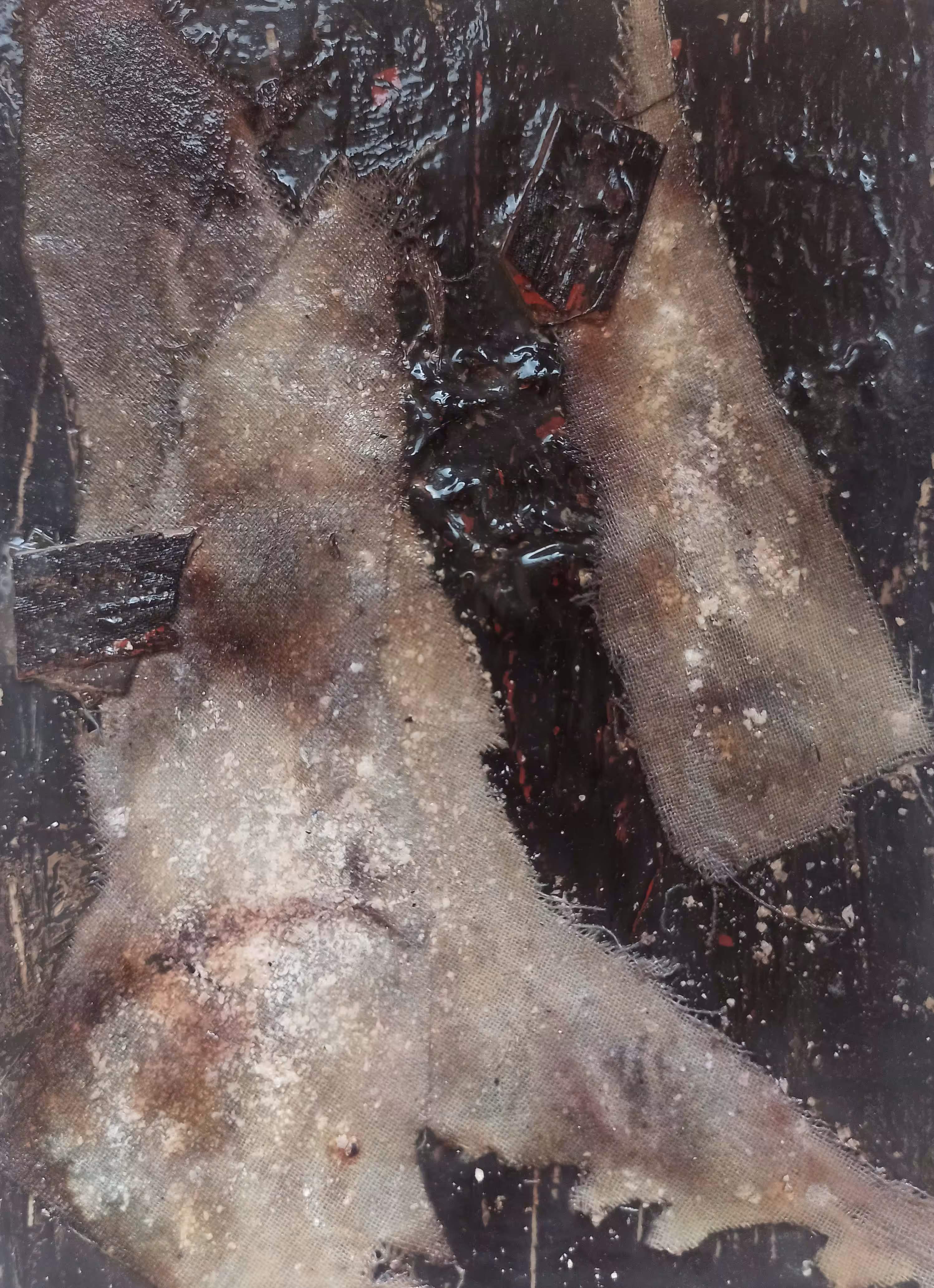 Dye-phragm: Specimen I #1