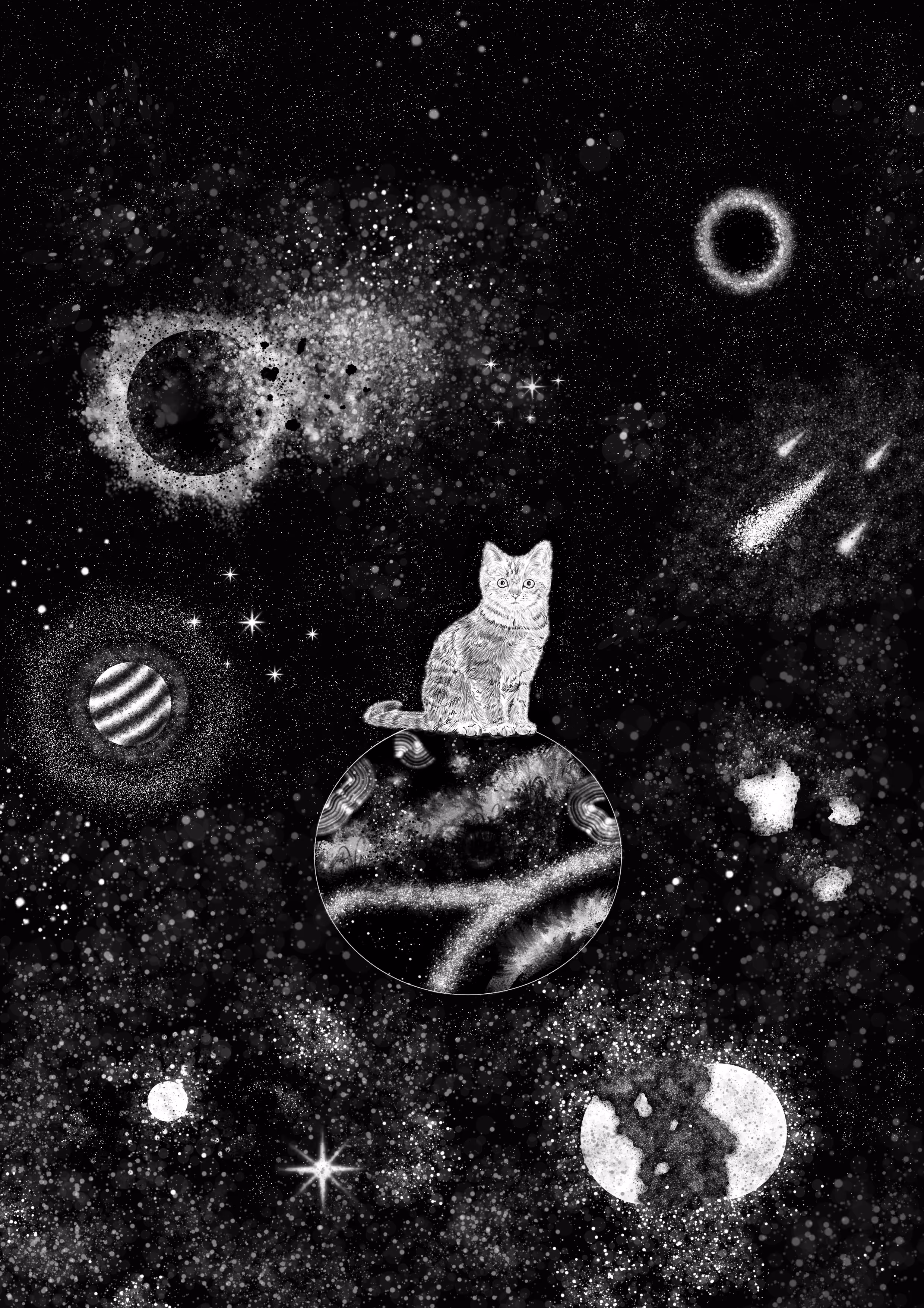 Space cat