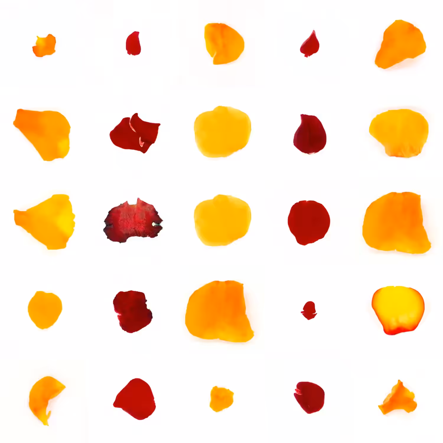 Infinite Petals 5x5#20221