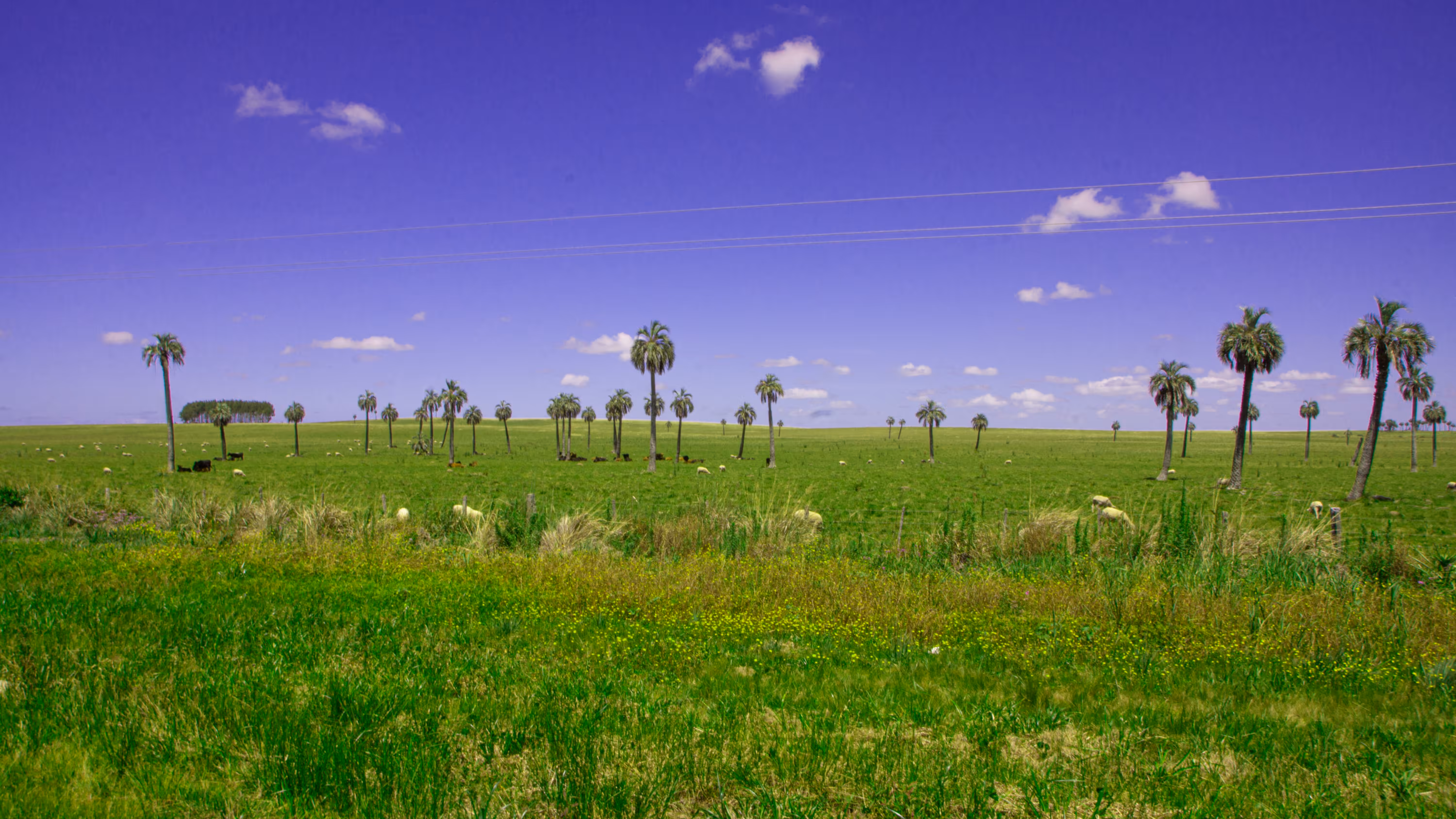 Traveling with love, Uruguay