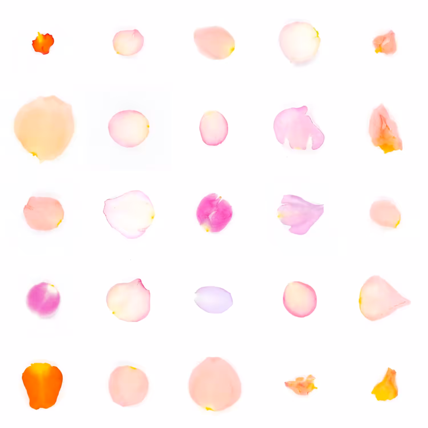 Infinite Petals 5x5#21139