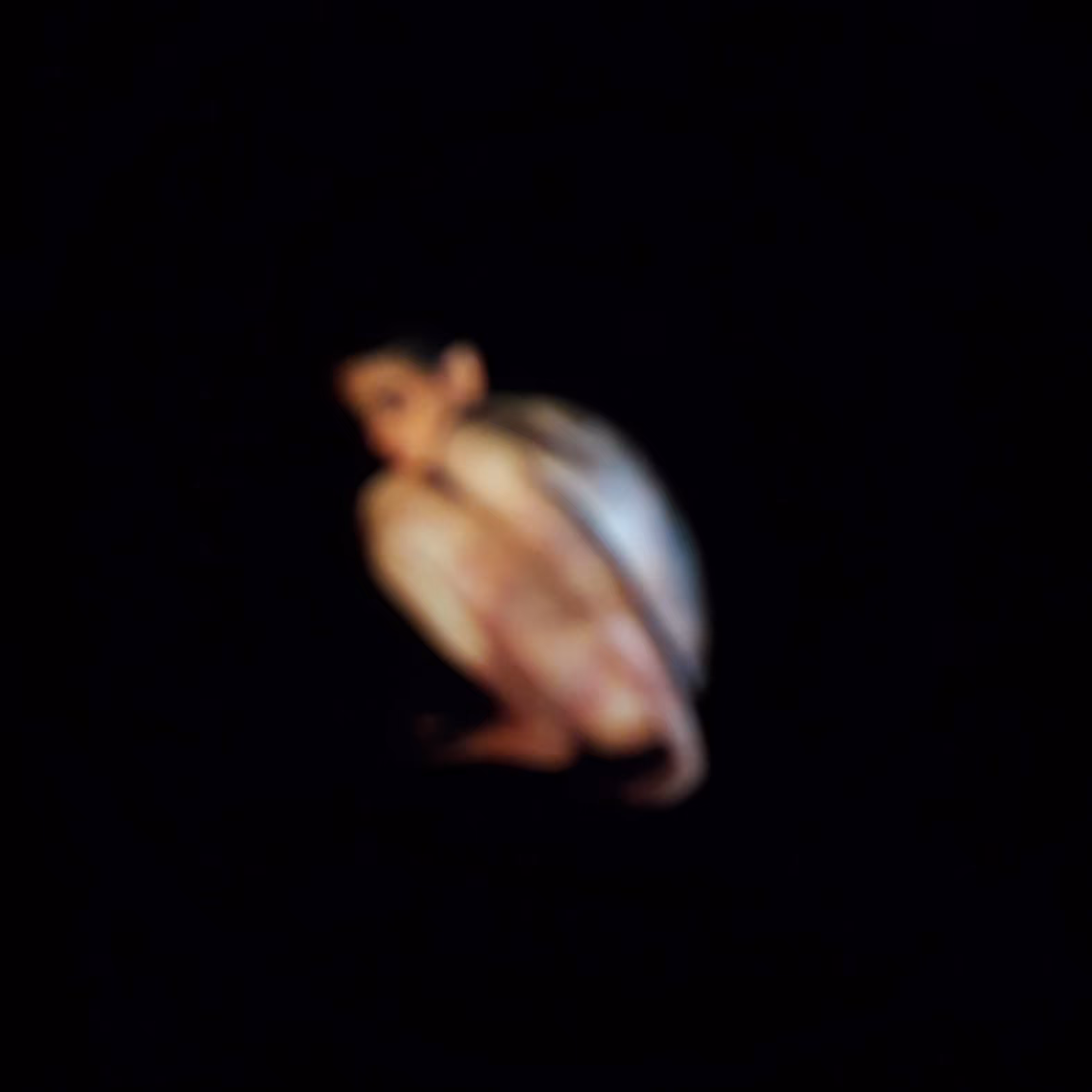 Blurred