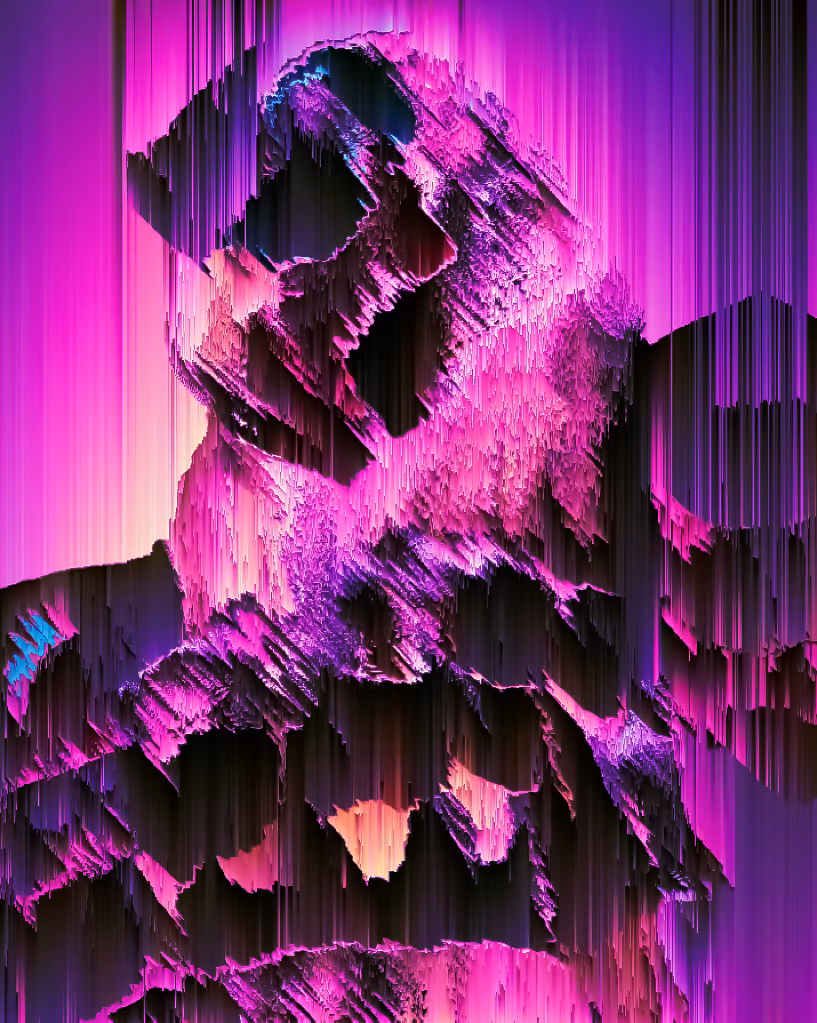 Digital Totem