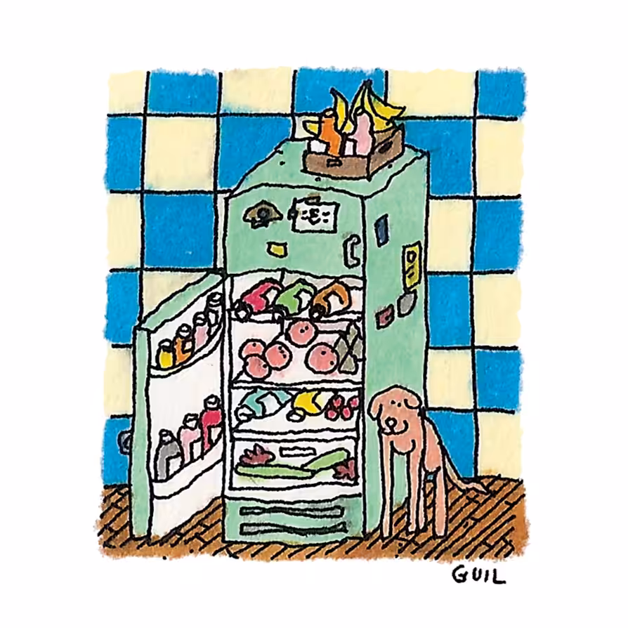 Smeg Fridge Dog