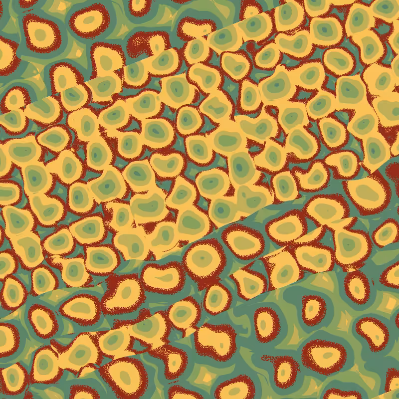 Cellulae #15