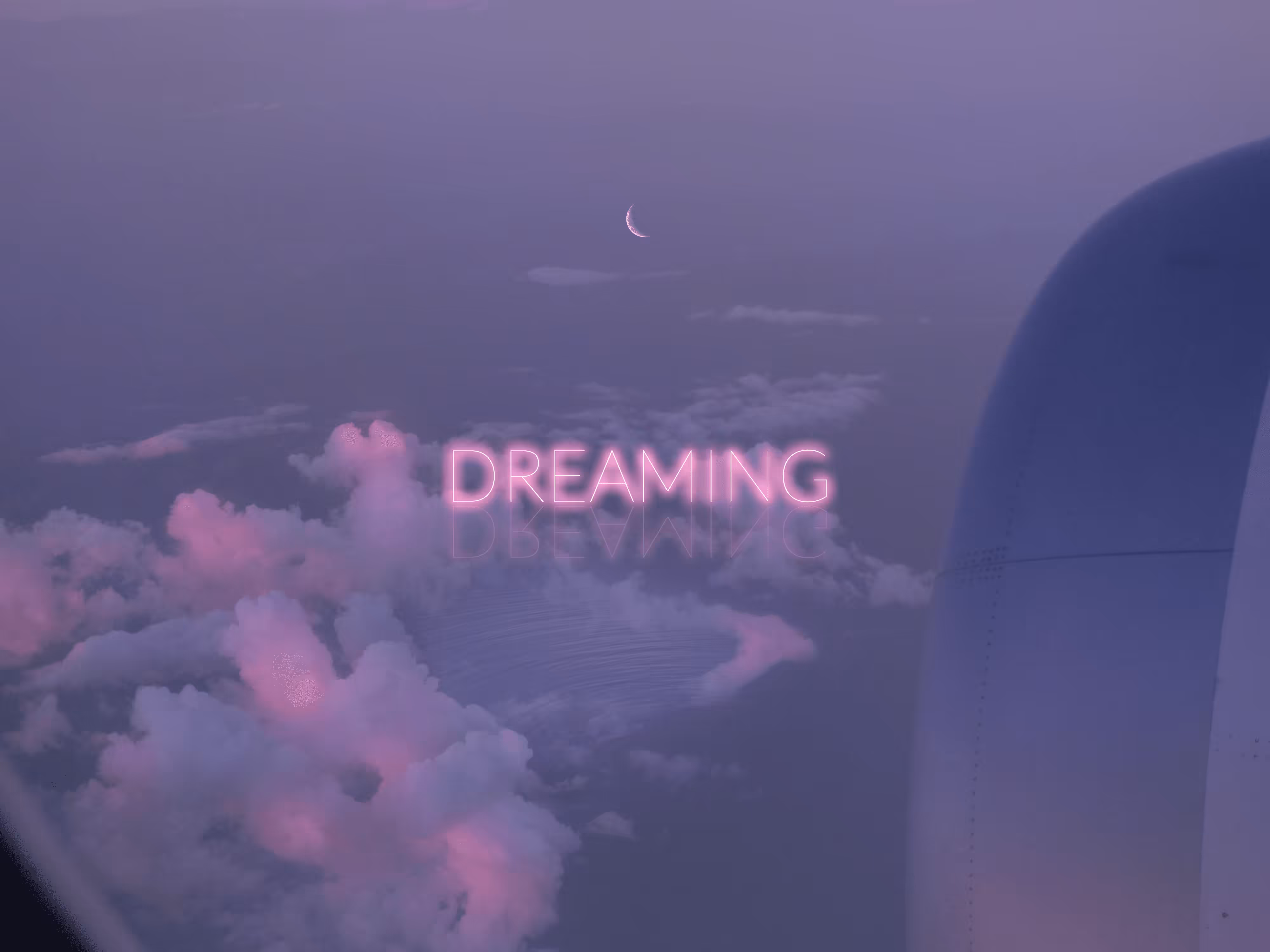 Pink & Purple World #39