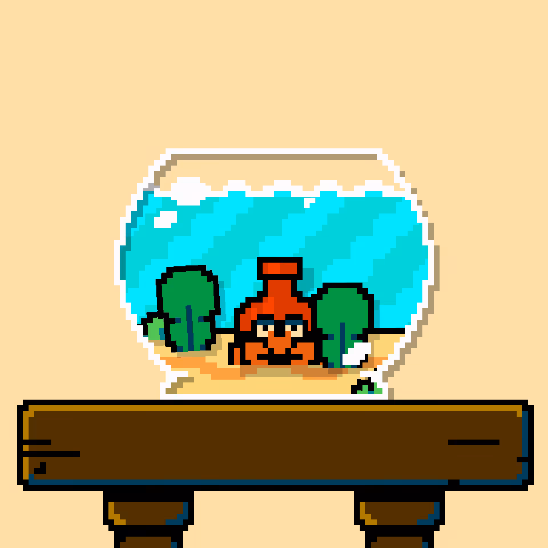 hermit crab #134