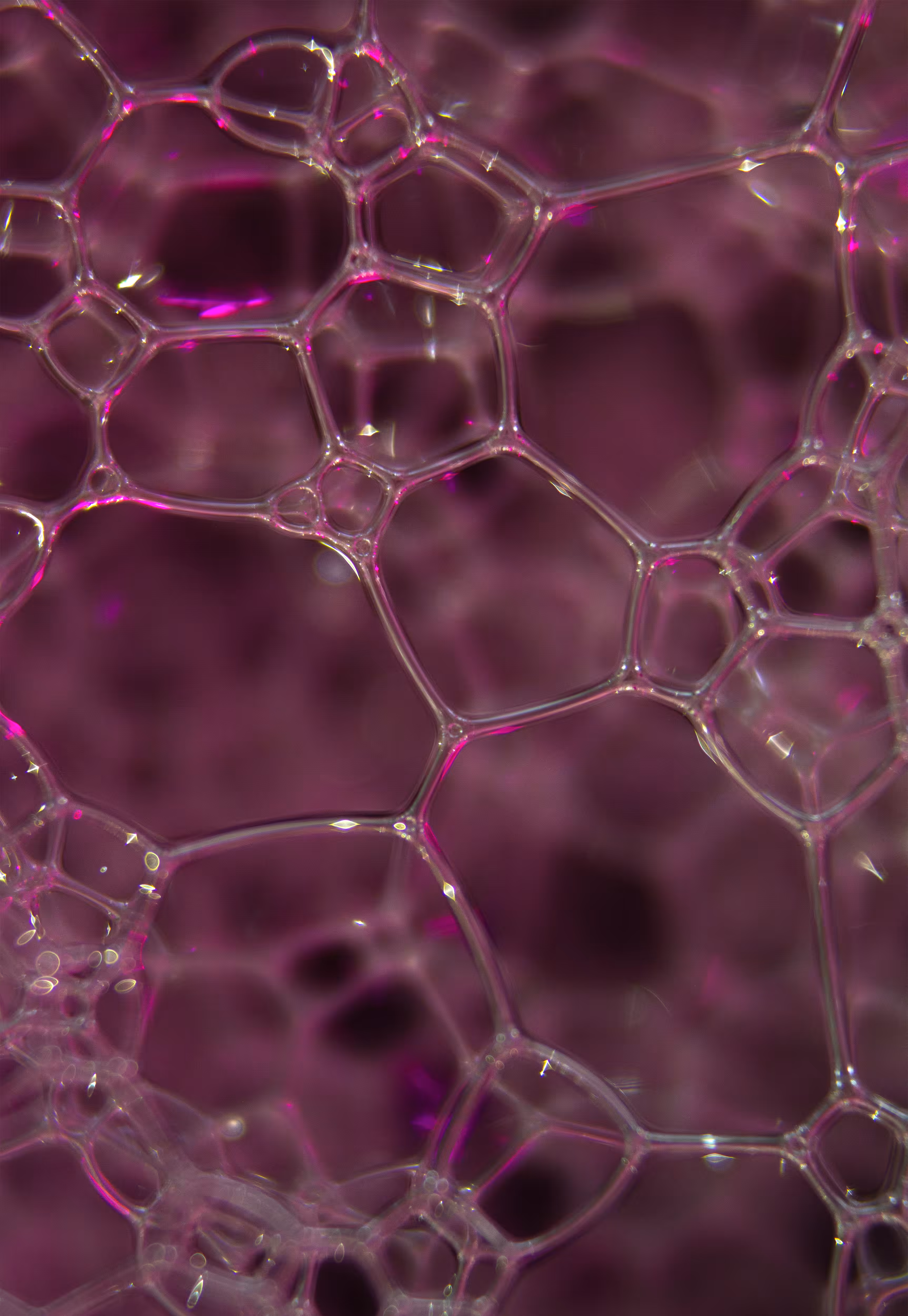 Abstract World of Soap Bubbles: #51 Bubbles