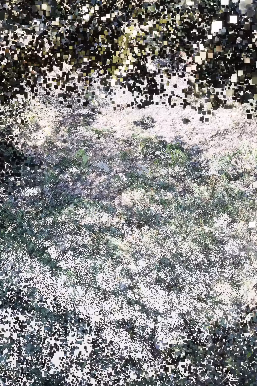 Kairos_tsg Storage: Rhizome#0