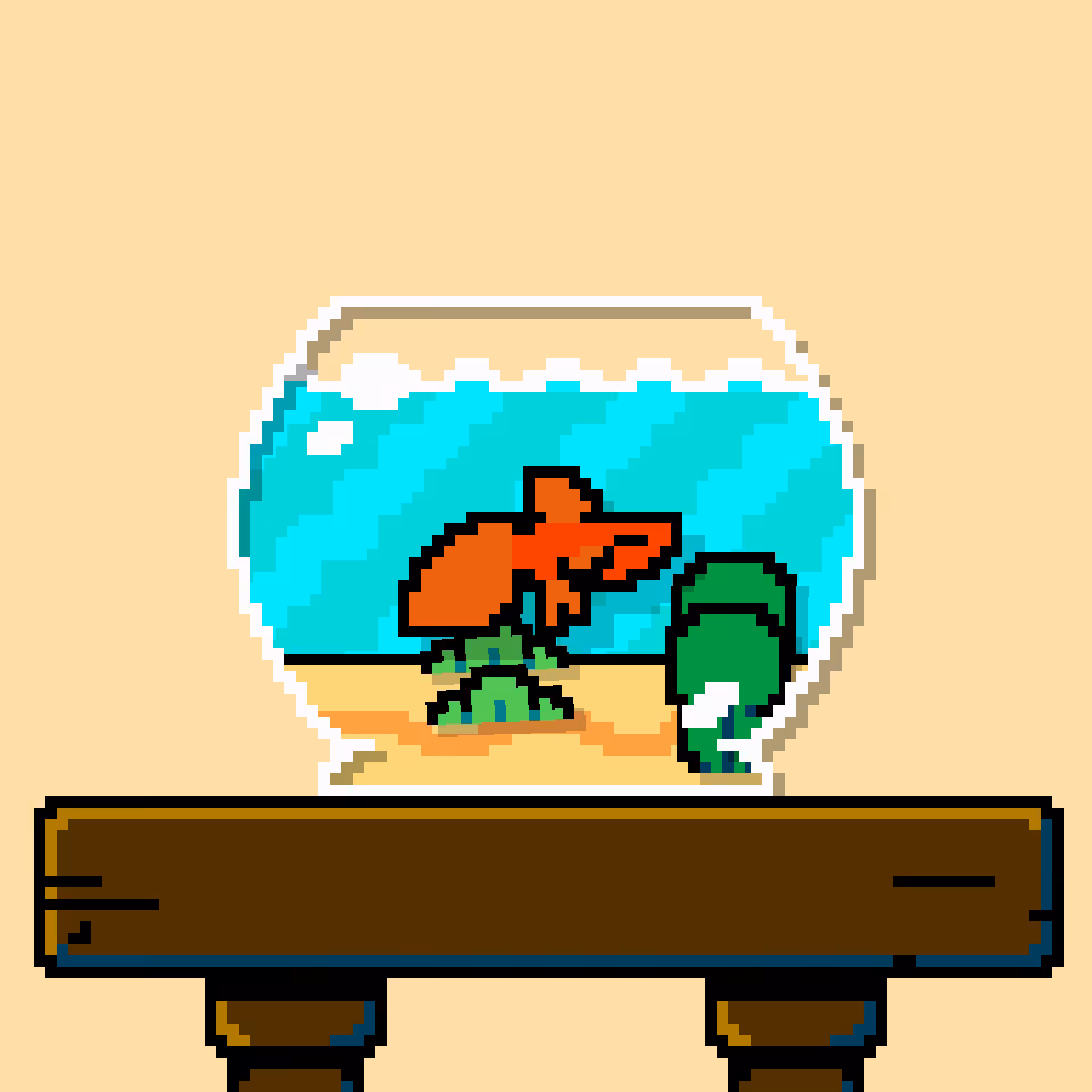 betta fish #11