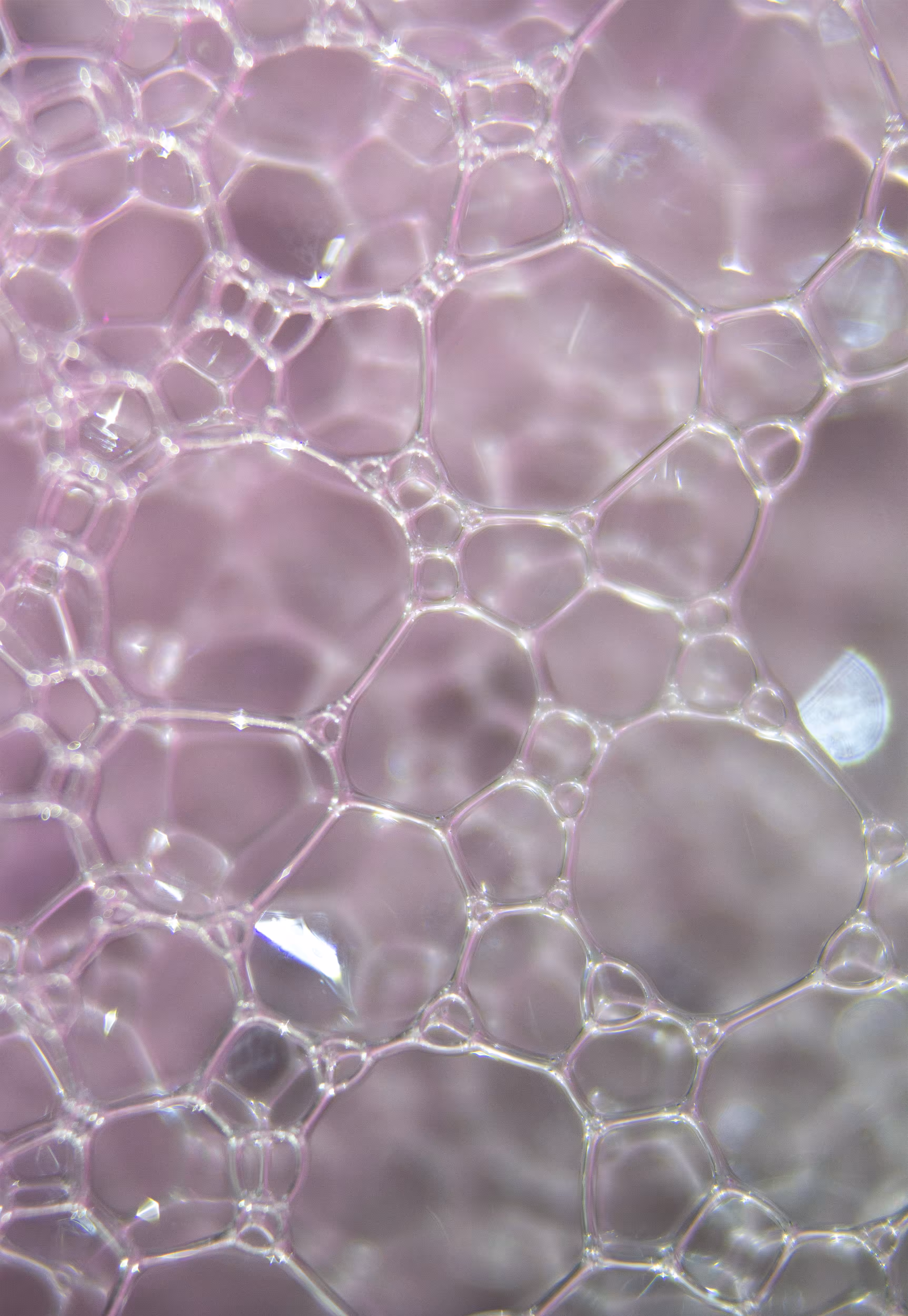 Abstract World of Soap Bubbles: #26 Bubbles