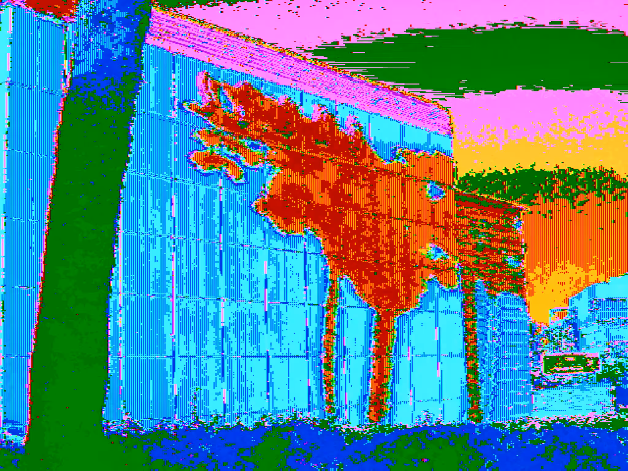 Palm Tree and Shadow