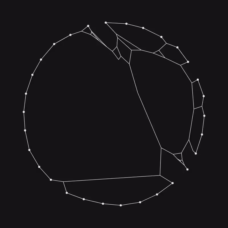 Elastic Web #292
