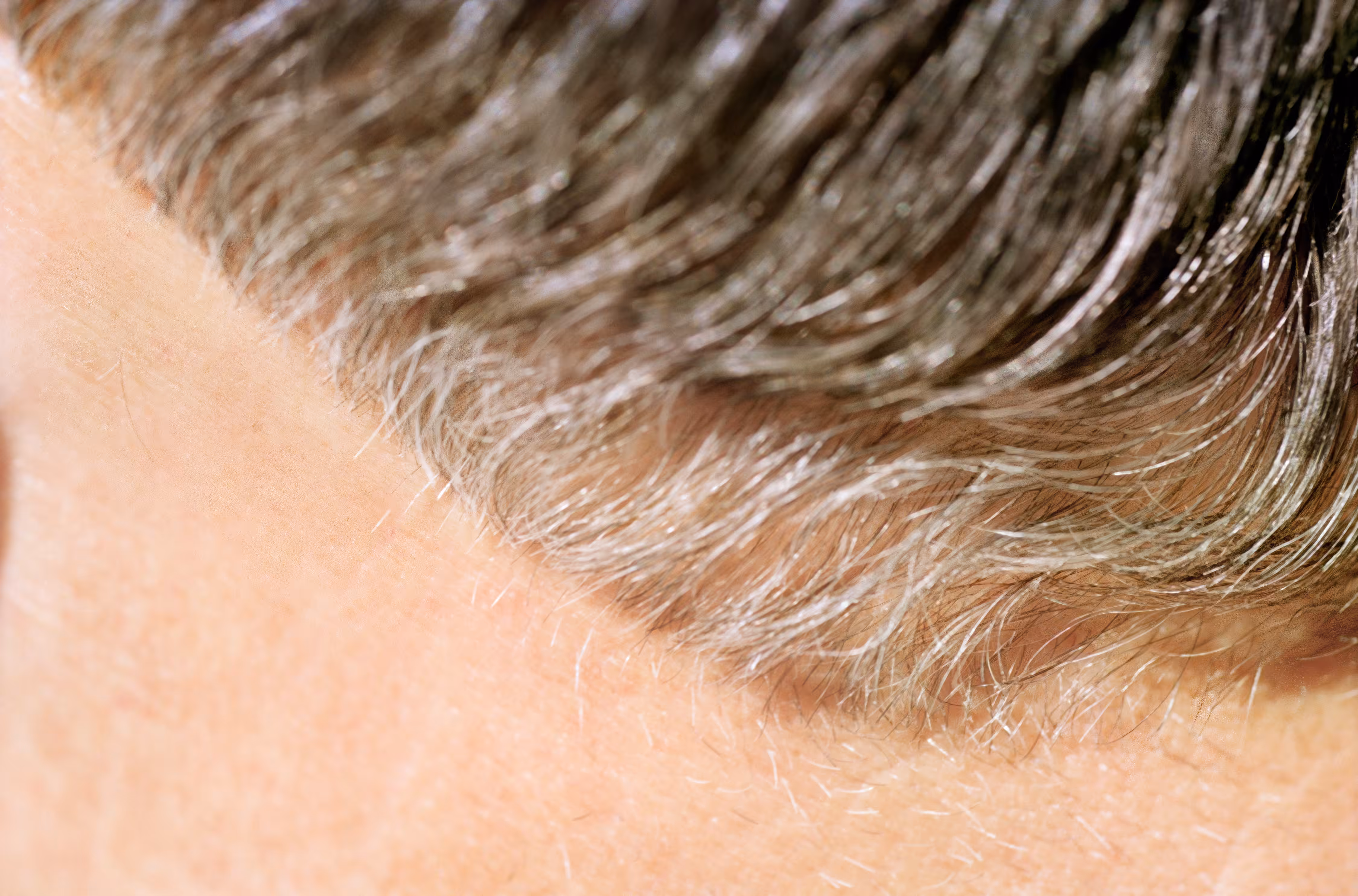 Closer - My father's hair, 1998