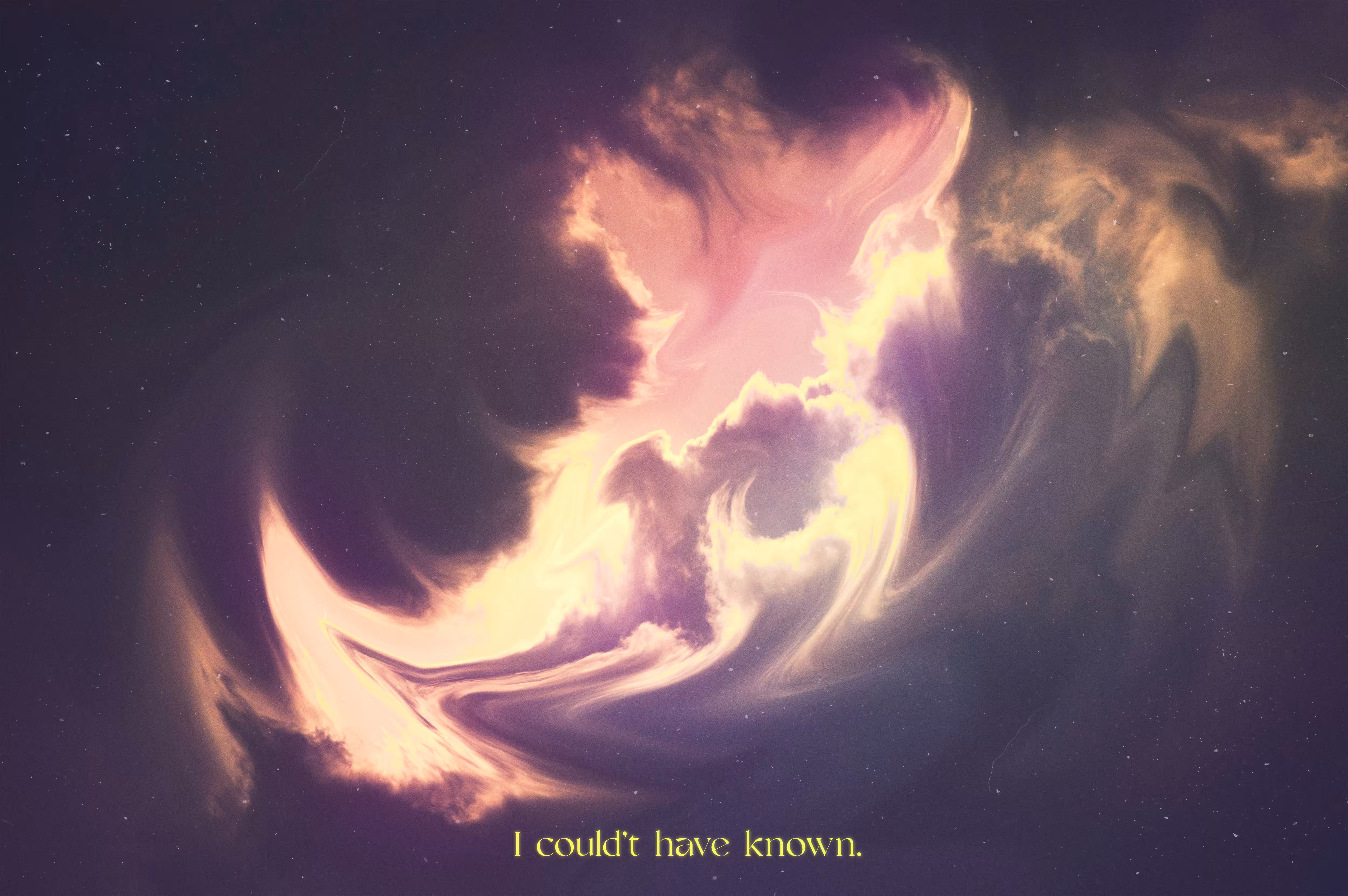Couldn't.