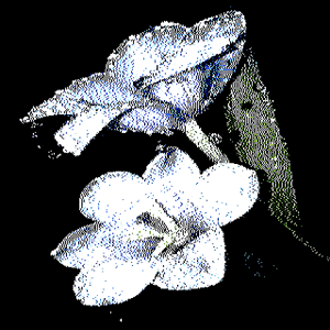 YZ_29